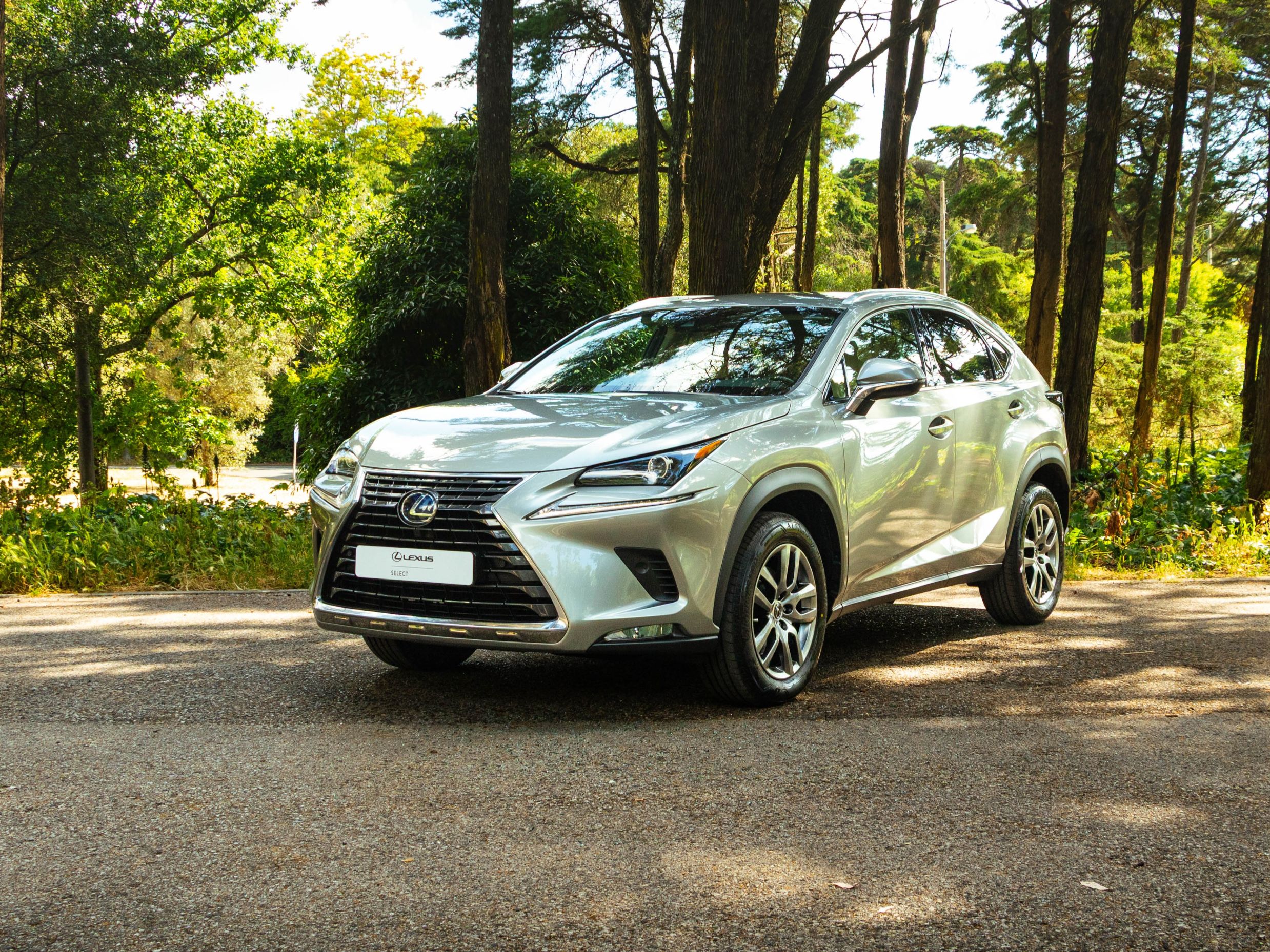 LEXUS NX 300H NX 300h Executive+