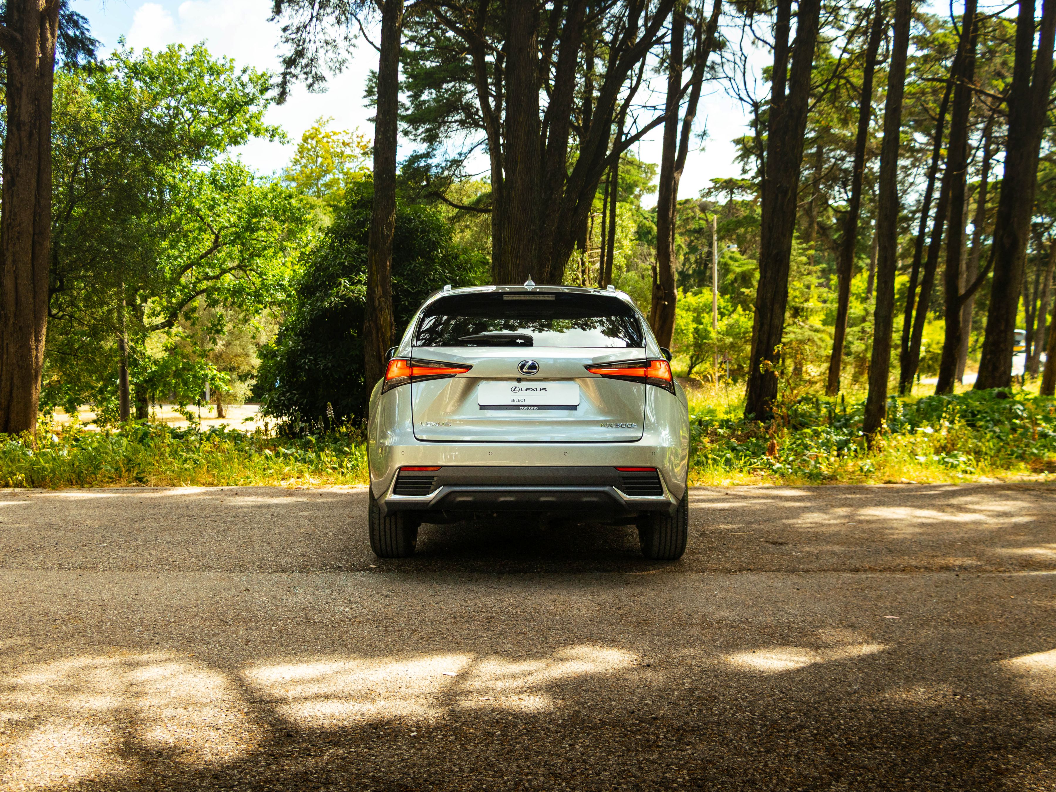LEXUS NX 300H NX 300h Executive+