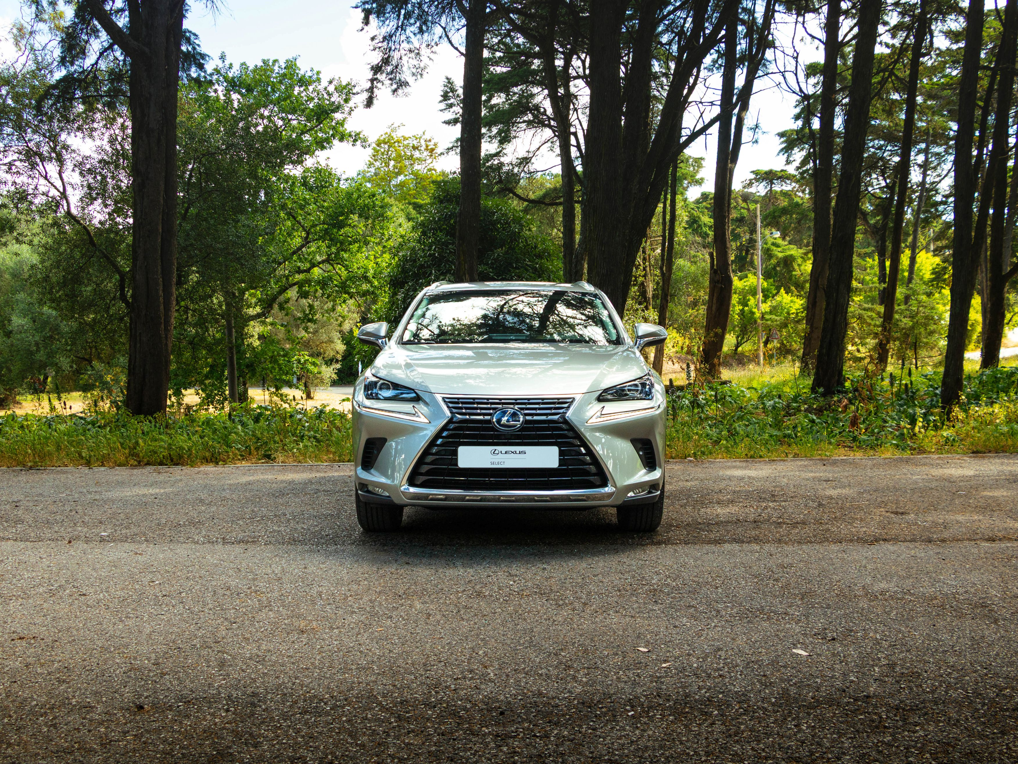 LEXUS NX 300H NX 300h Executive+