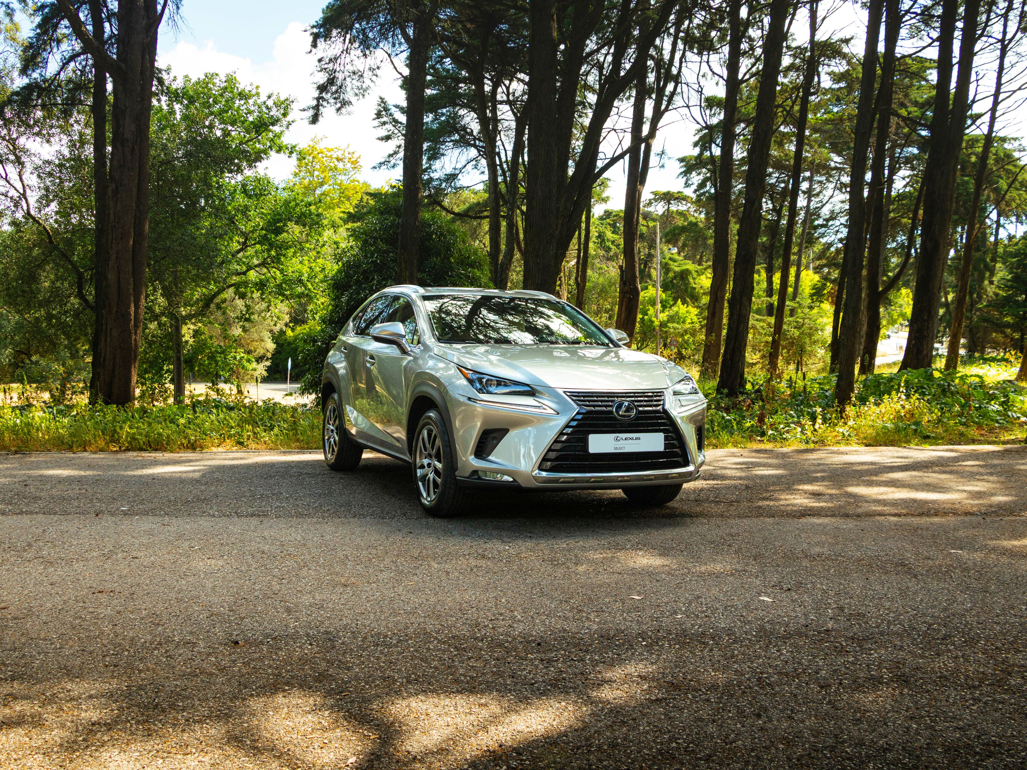 LEXUS NX 300H NX 300h Executive+