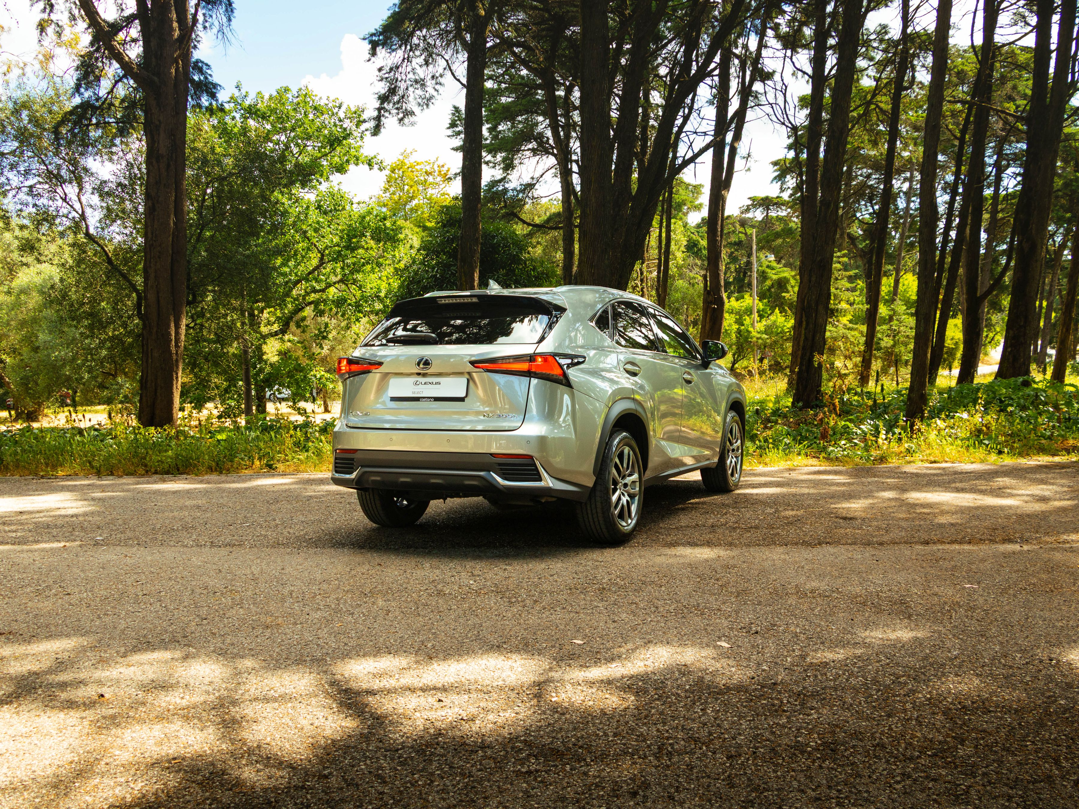 LEXUS NX 300H NX 300h Executive+