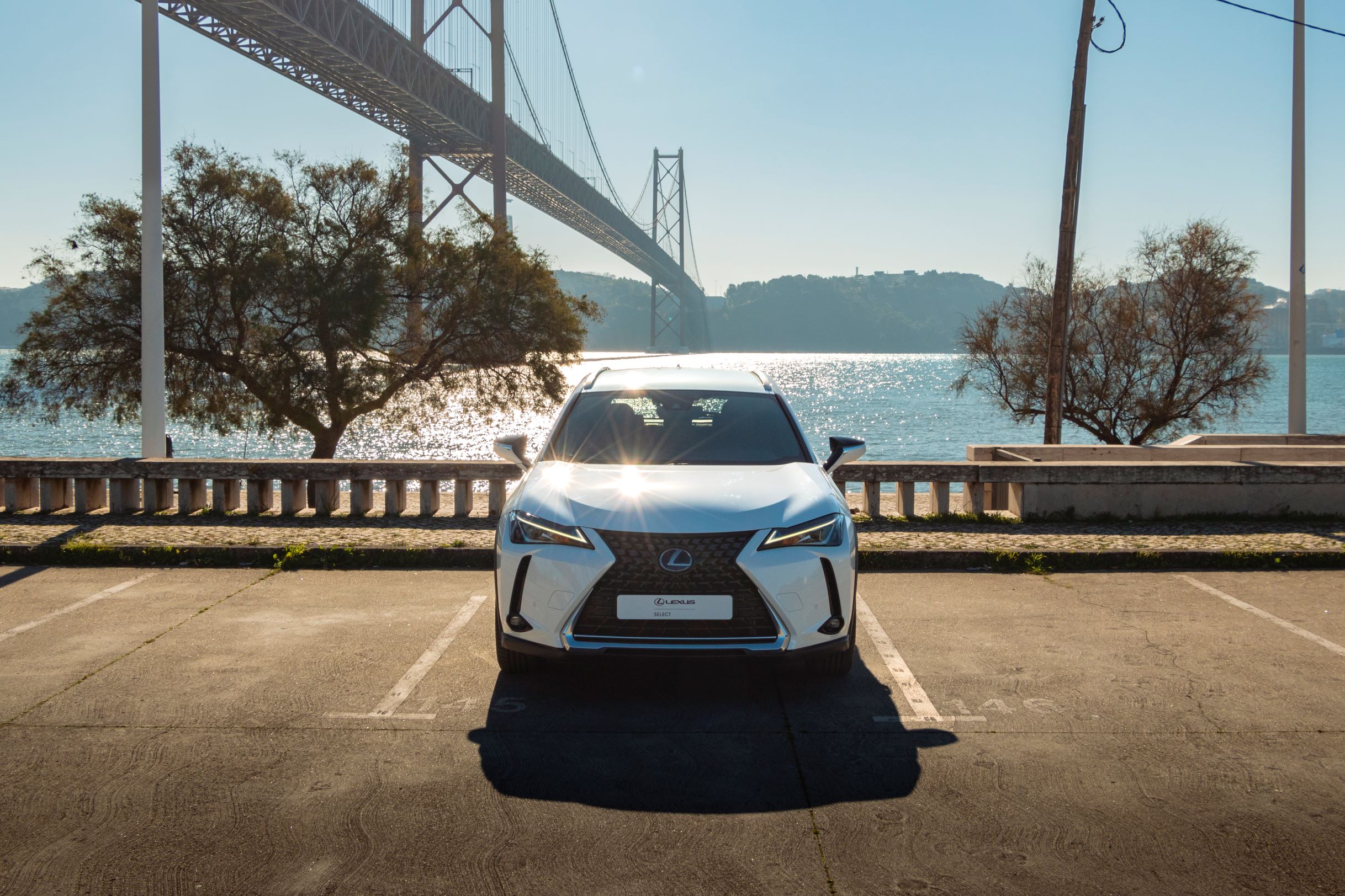 LEXUS UX 250H UX 250h Executive Plus