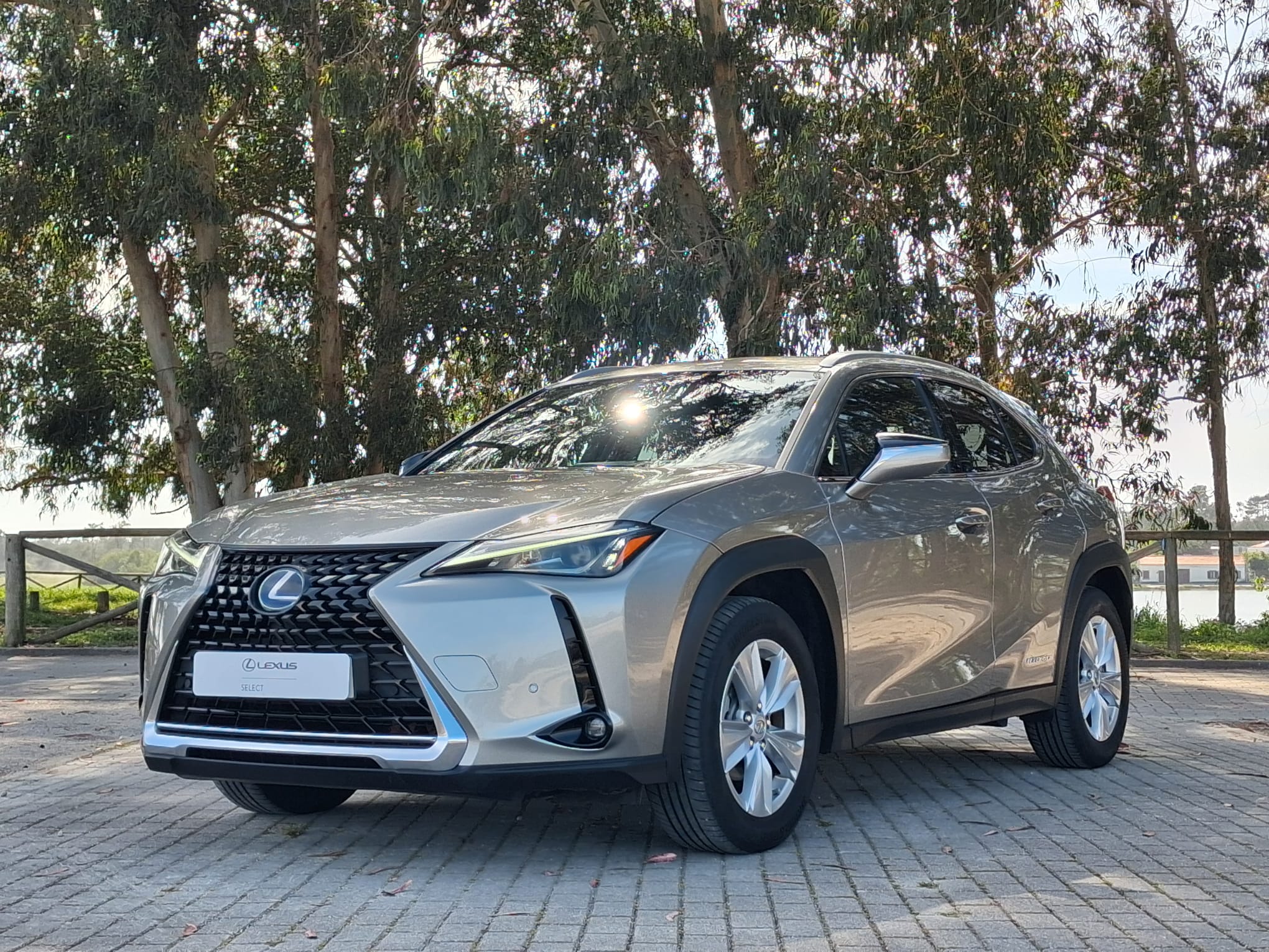 LEXUS UX 250H UX 250h Executive Plus