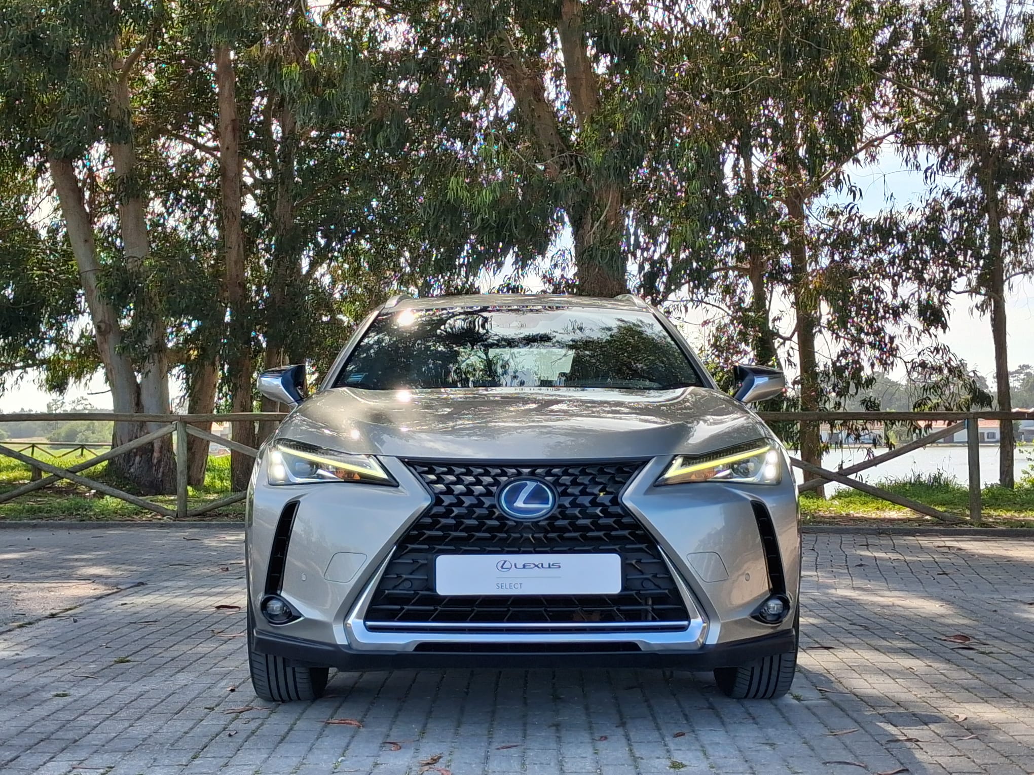 LEXUS UX 250H UX 250h Executive Plus