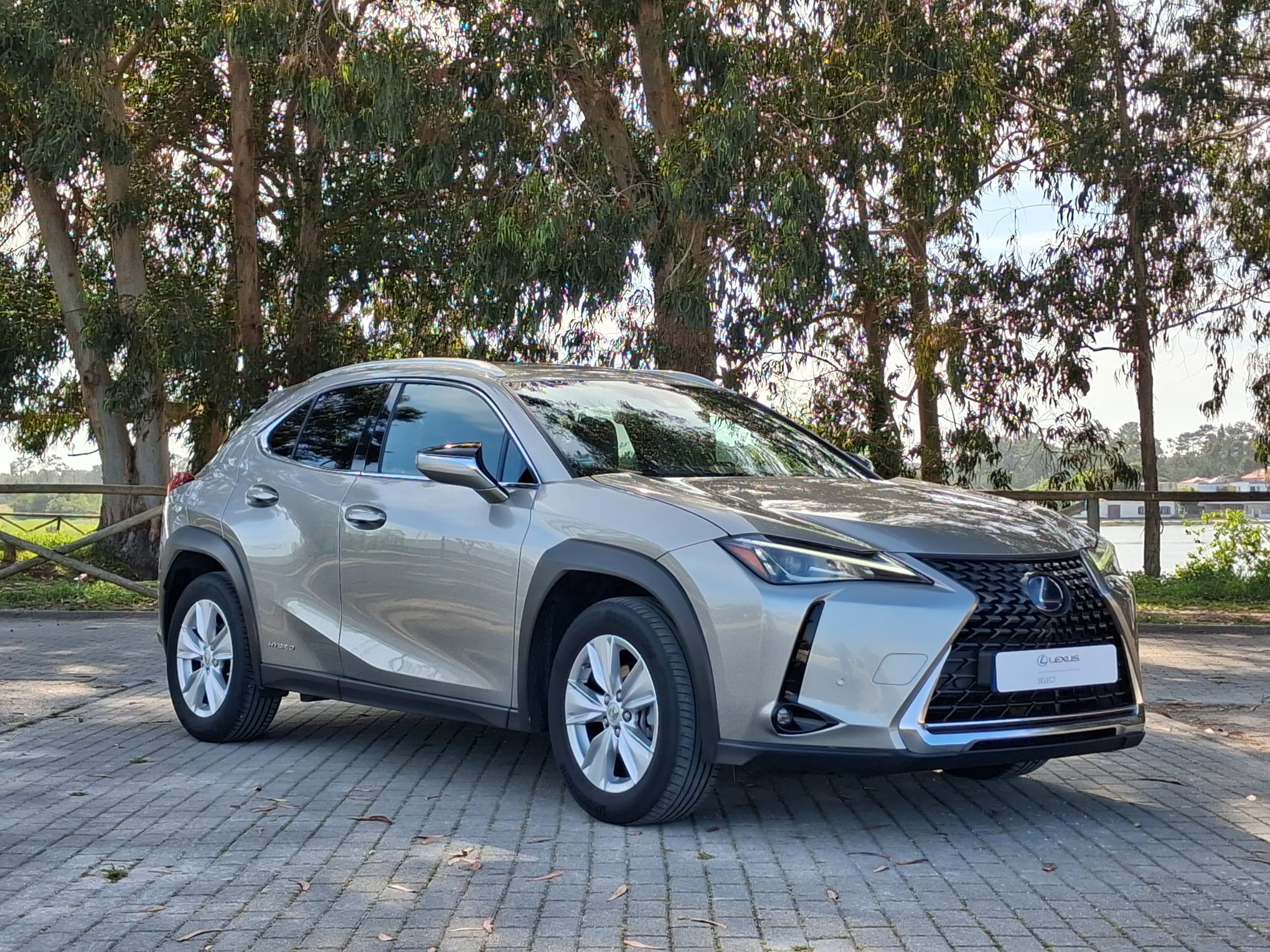 LEXUS UX 250H UX 250h Executive Plus