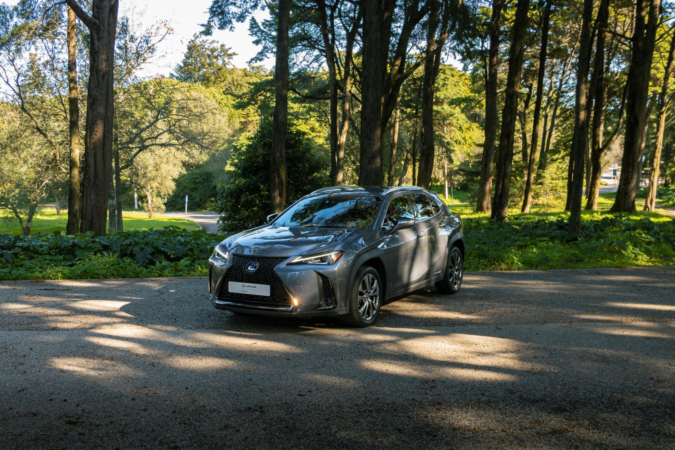 LEXUS UX 250H UX 250h F Sport