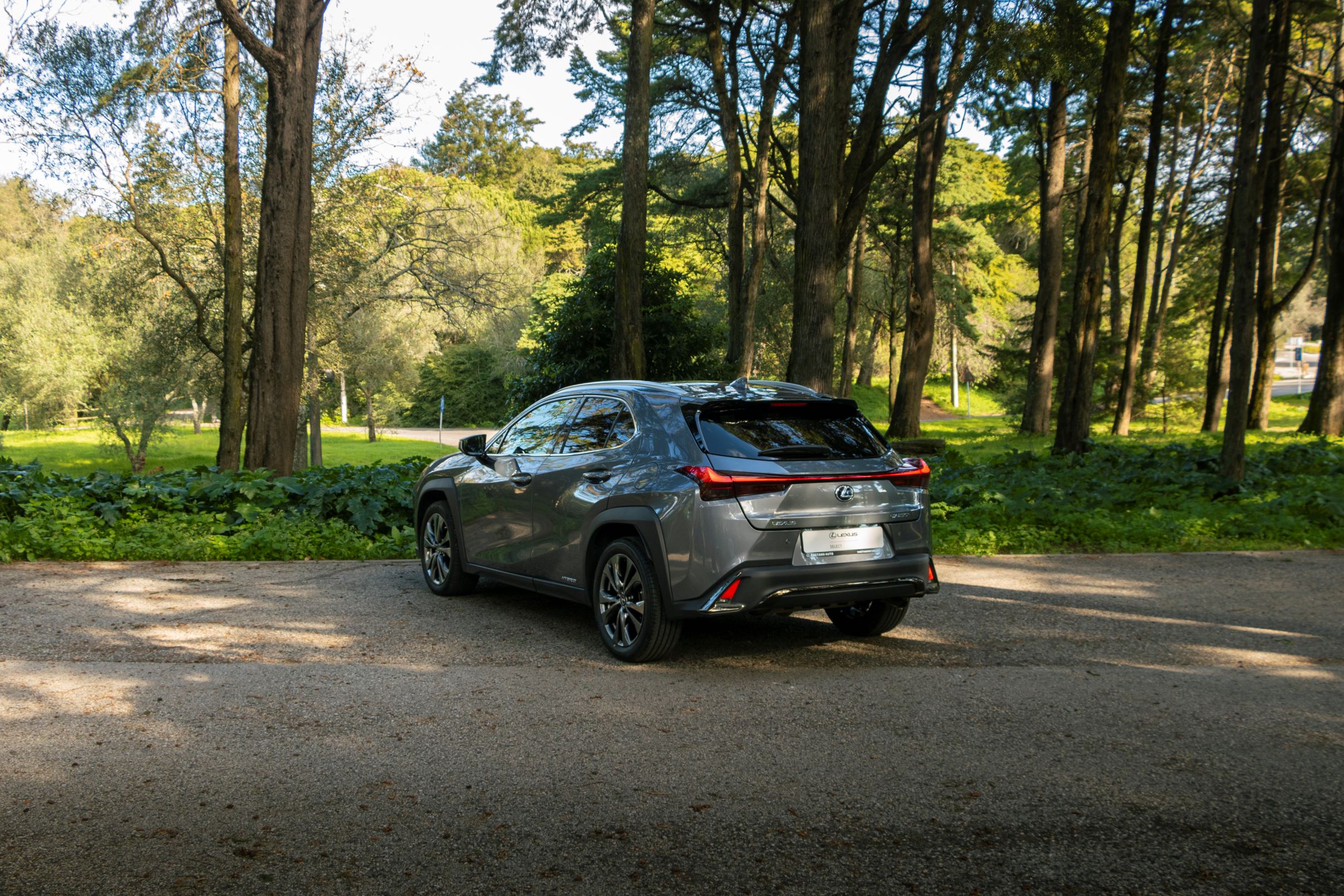 LEXUS UX 250H UX 250h F Sport