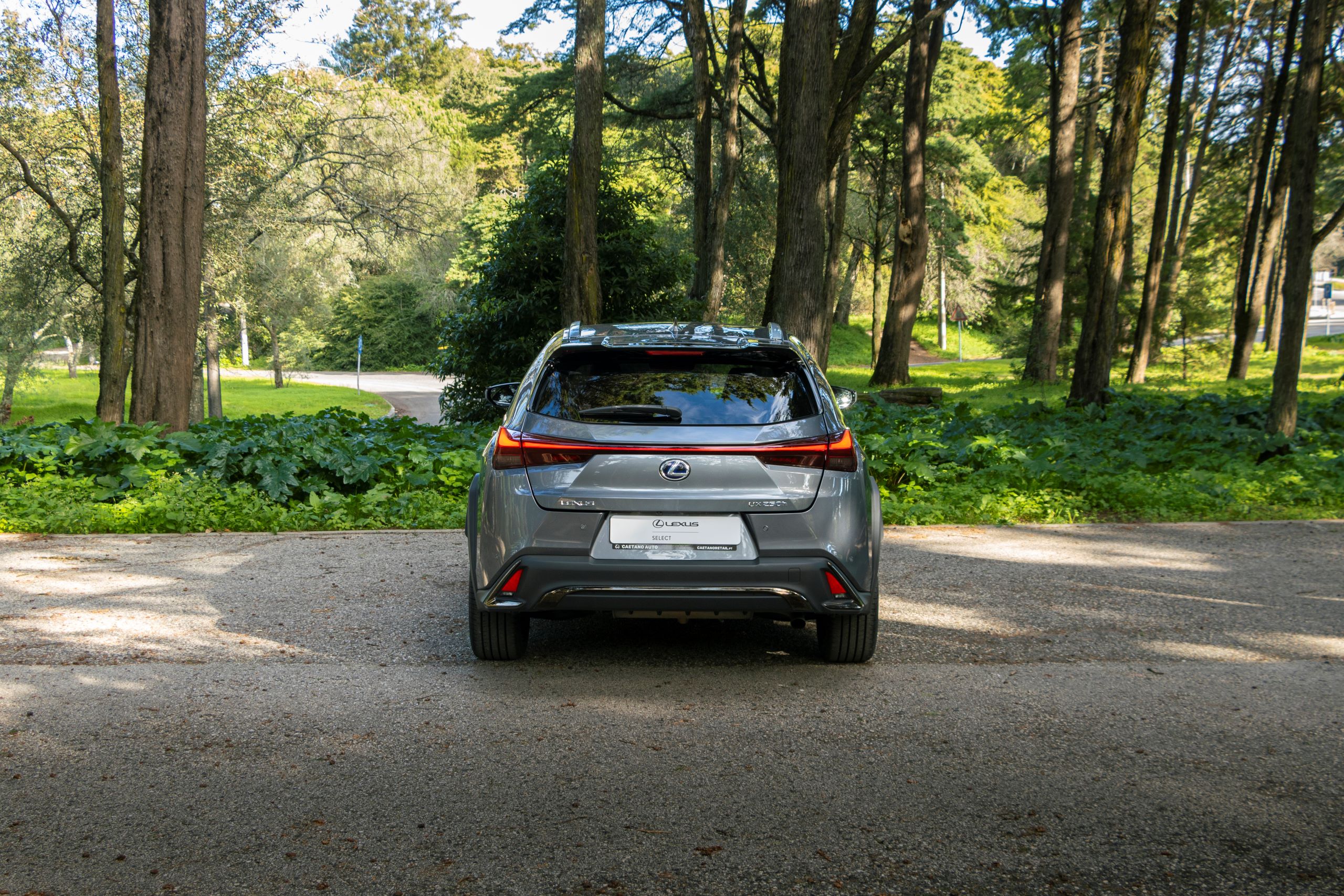 LEXUS UX 250H UX 250h F Sport