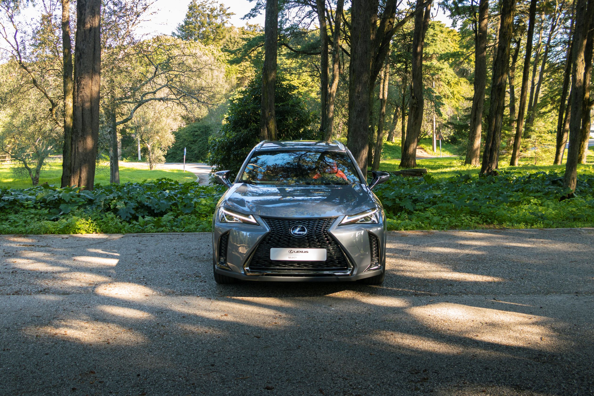 LEXUS UX 250H UX 250h F Sport