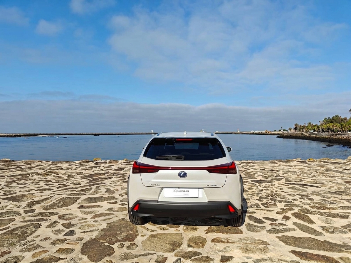 LEXUS UX 250H UX 250h F Sport