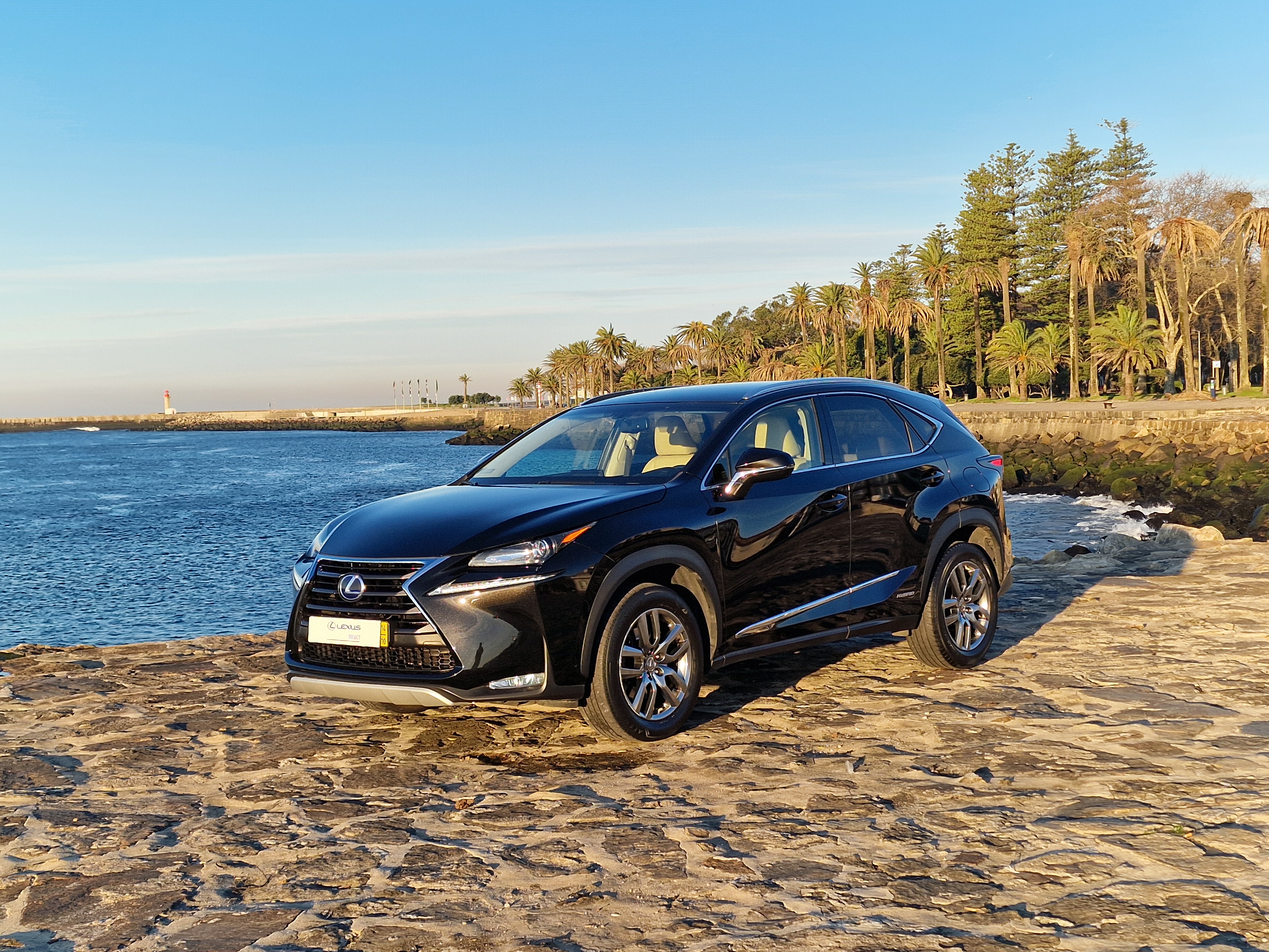 LEXUS NX 300H NX 300h Executive