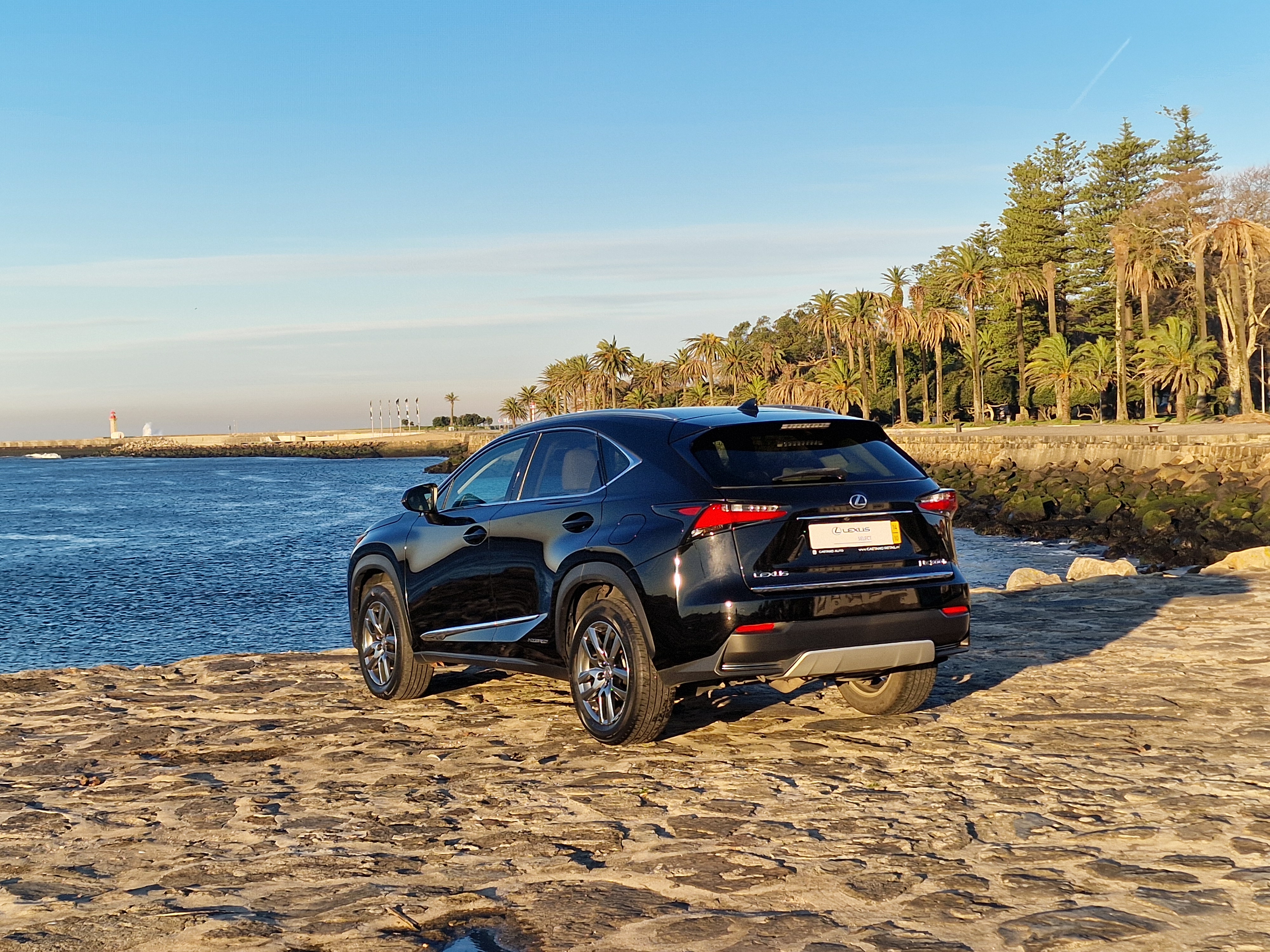 LEXUS NX 300H NX 300h Executive