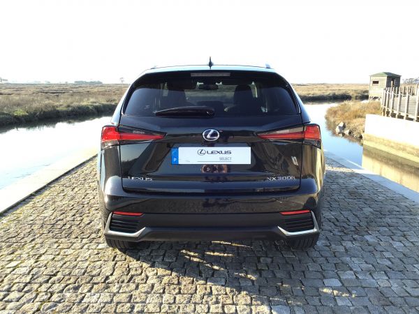 LEXUS NX 2.5 300H 4X2 Executive Plus