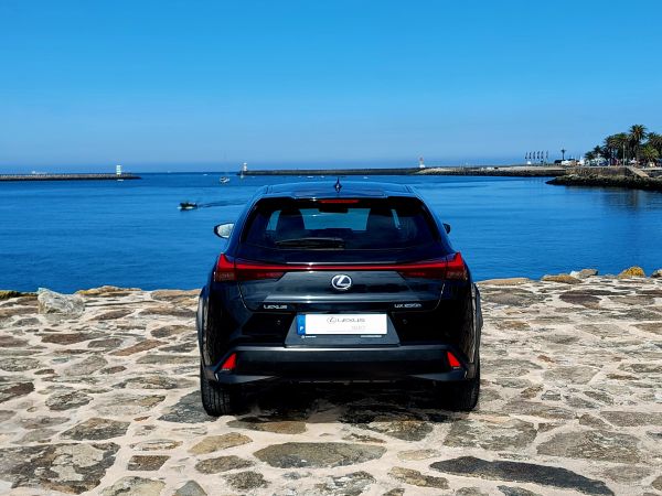 LEXUS UX UX 250h Business