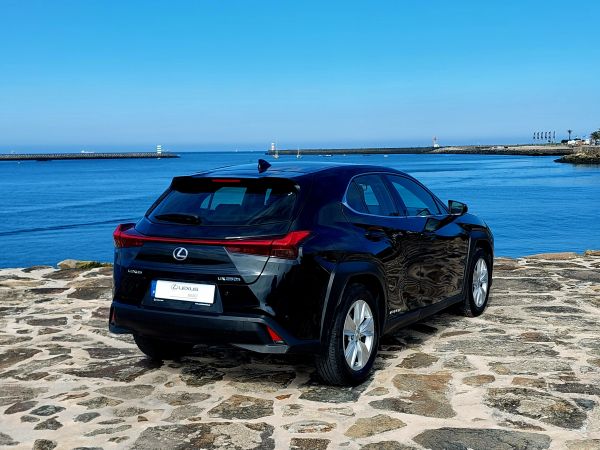 LEXUS UX UX 250h Business