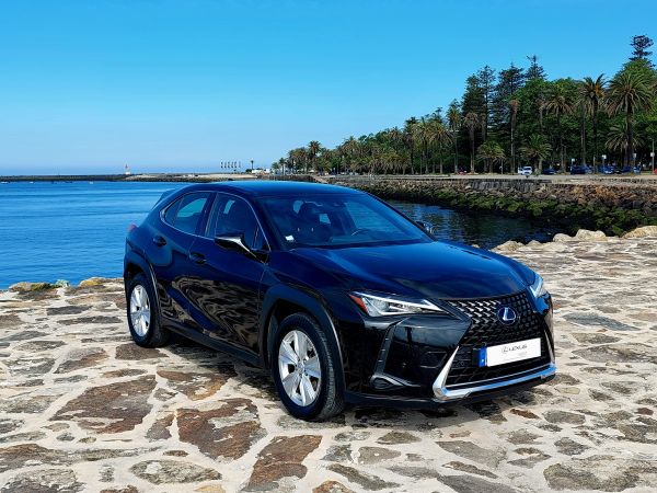 LEXUS UX UX 250h Business