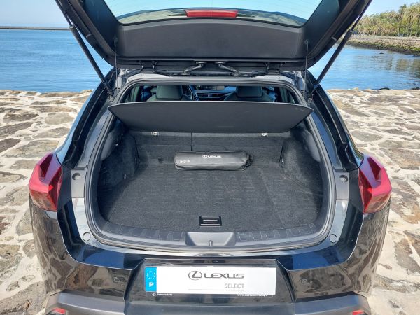 LEXUS UX UX 250h Business