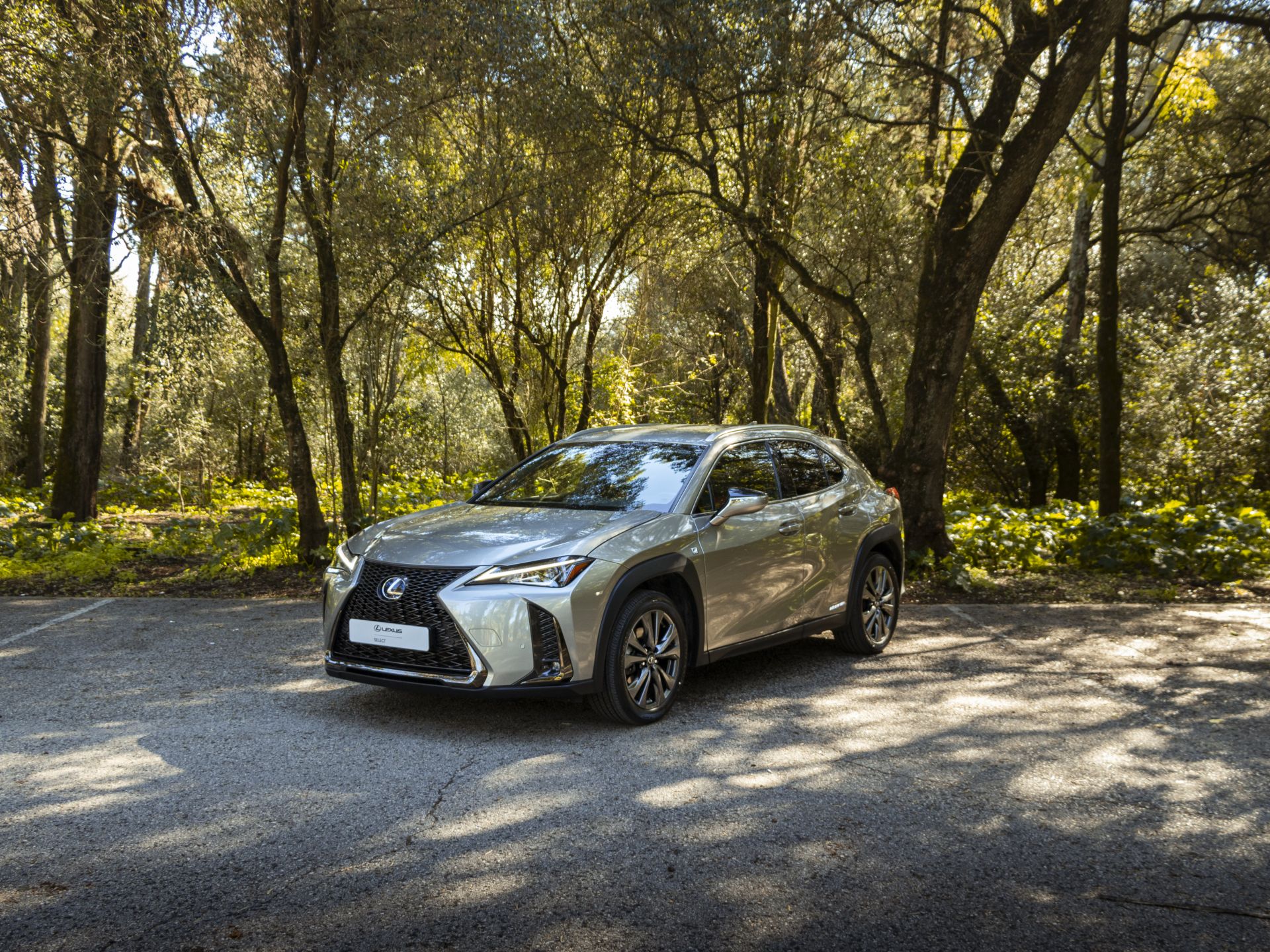 LEXUS UX 250H UX 250h F Sport