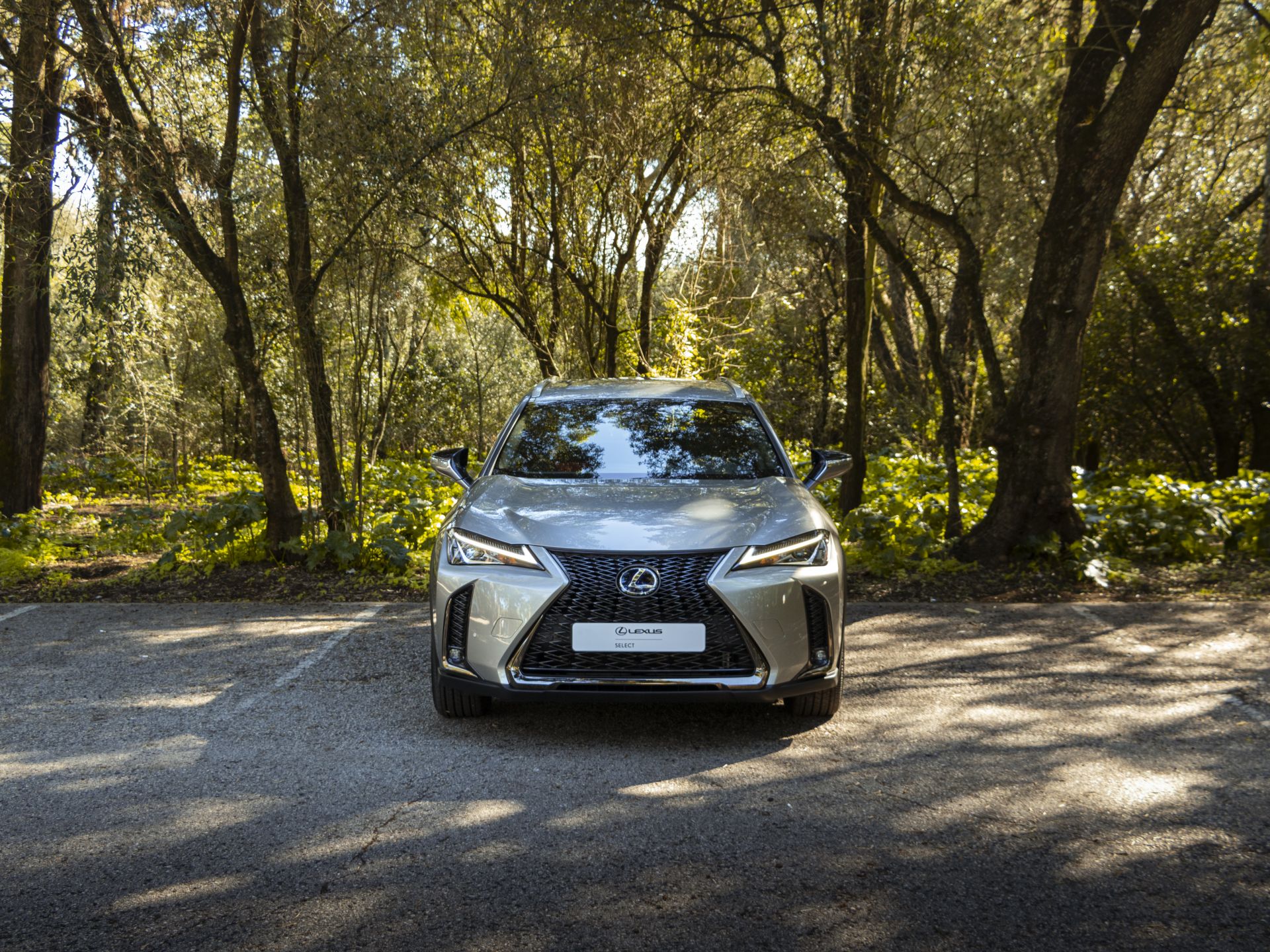 LEXUS UX 250H UX 250h F Sport