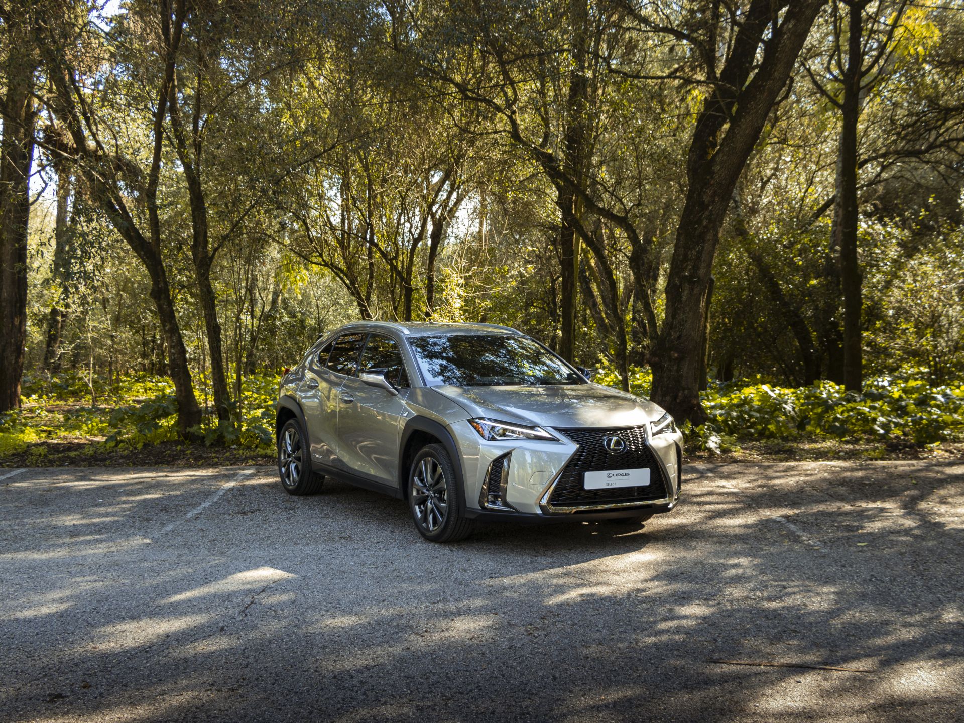 LEXUS UX 250H UX 250h F Sport