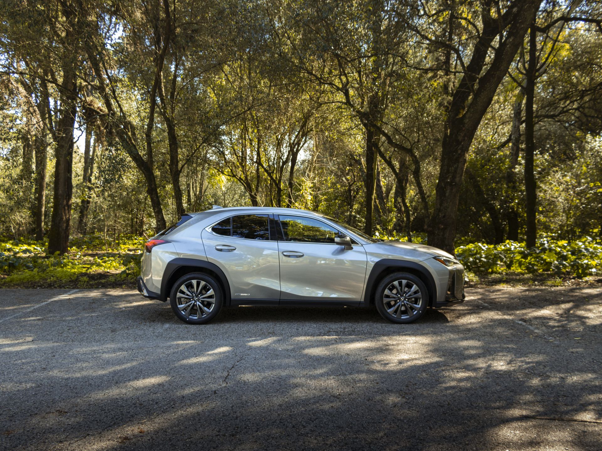 LEXUS UX 250H UX 250h F Sport