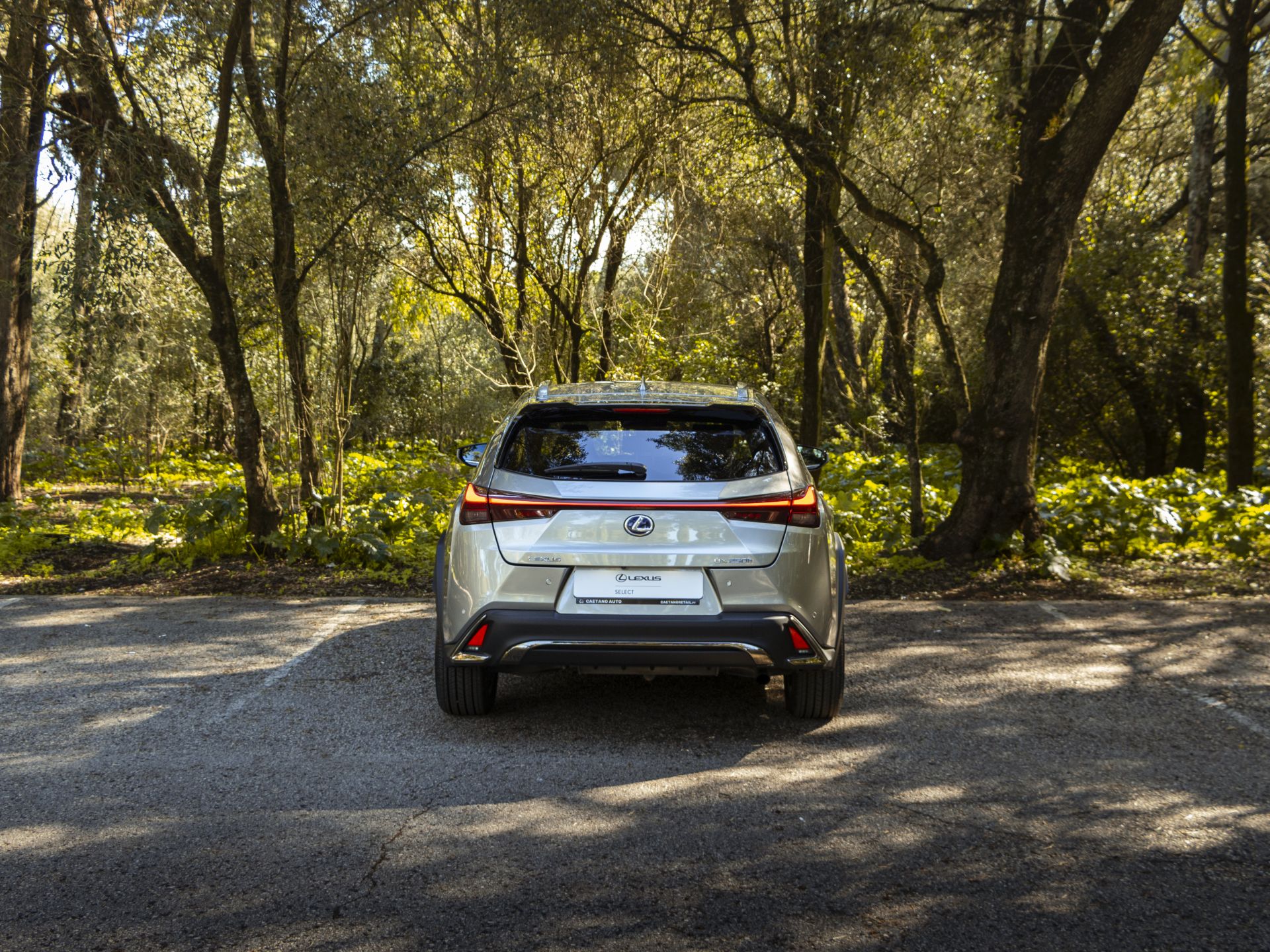LEXUS UX 250H UX 250h F Sport