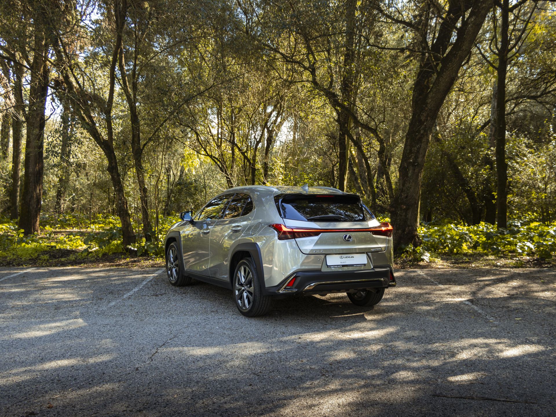 LEXUS UX 250H UX 250h F Sport
