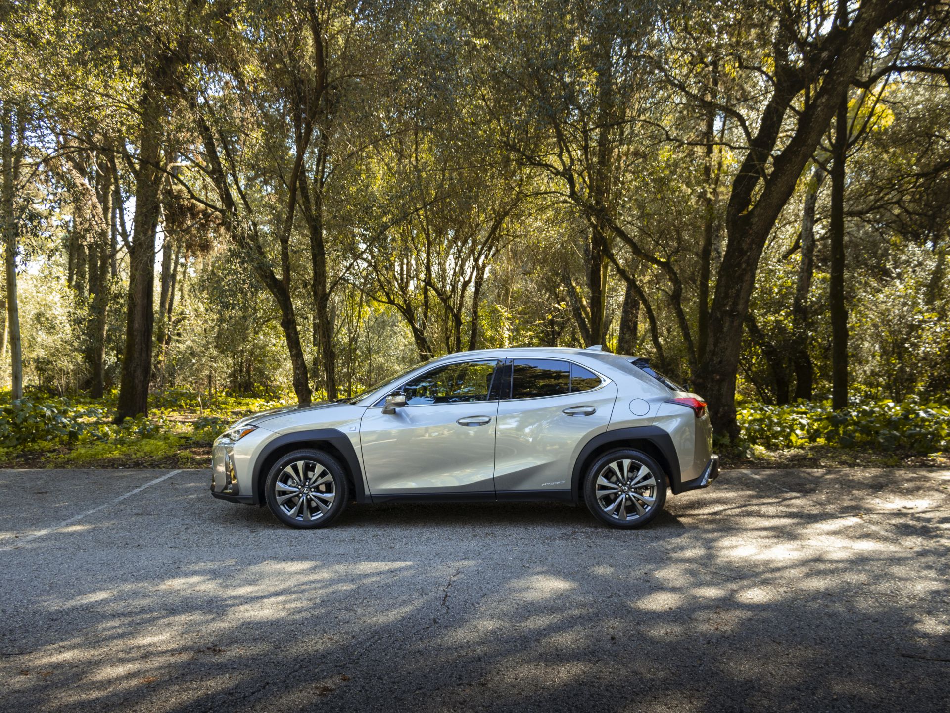 LEXUS UX 250H UX 250h F Sport