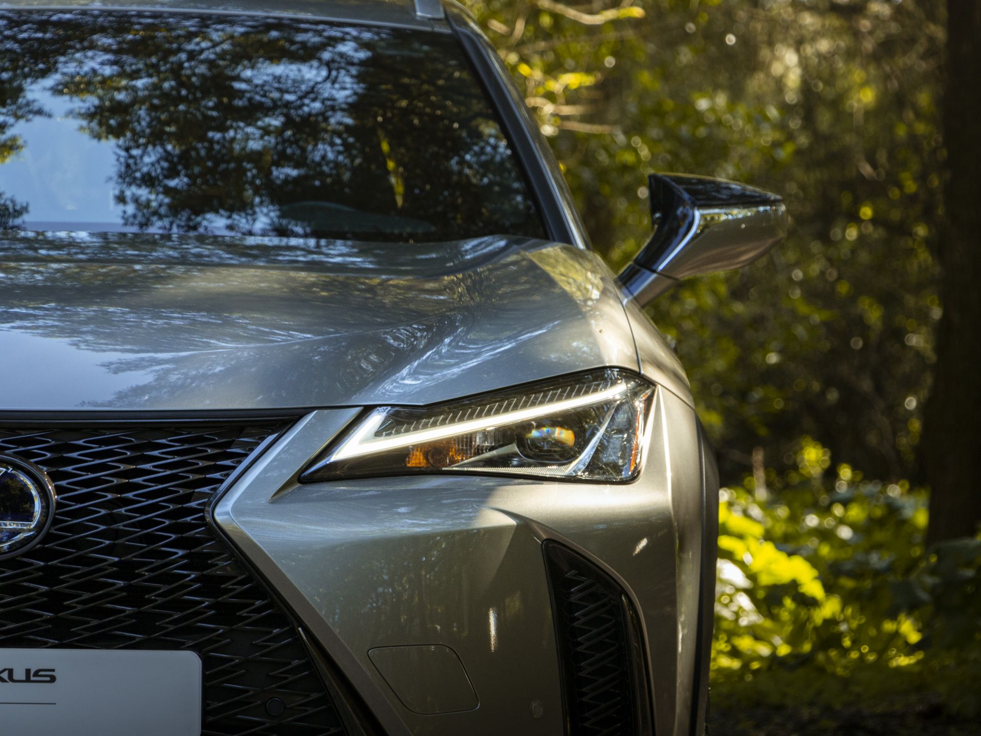LEXUS UX 250H UX 250h F Sport