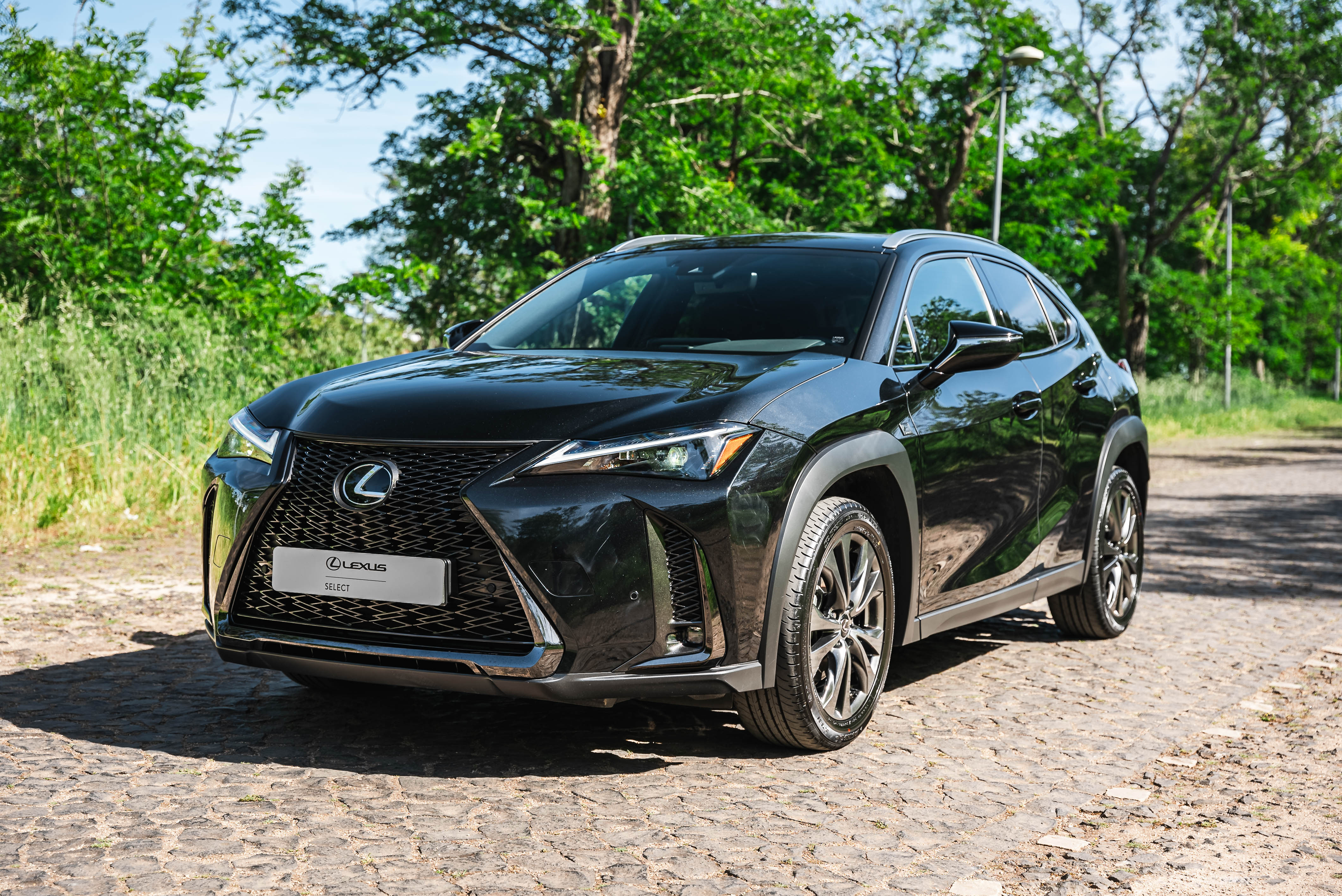 LEXUS UX 250H UX 250h F Sport