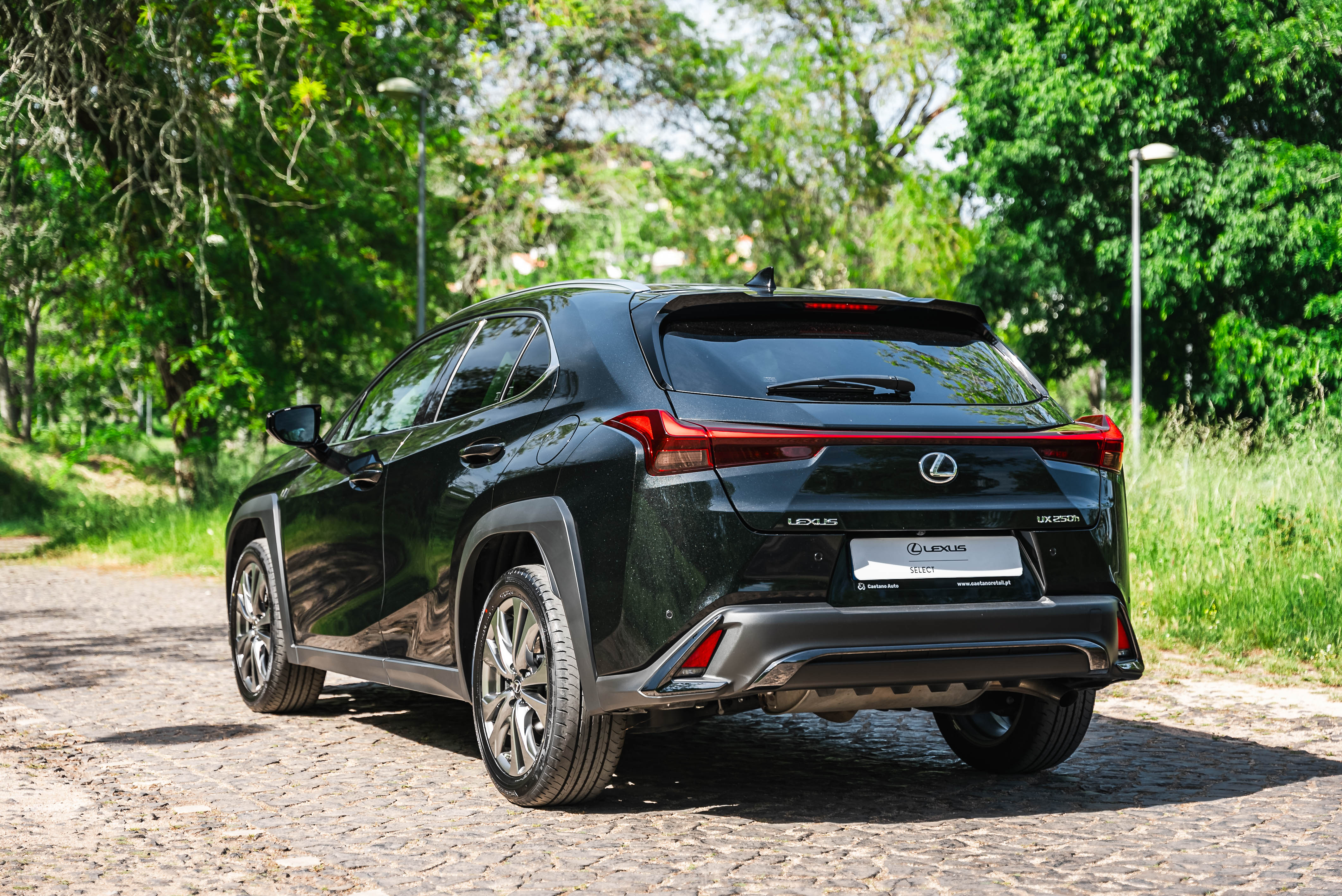 LEXUS UX 250H UX 250h F Sport