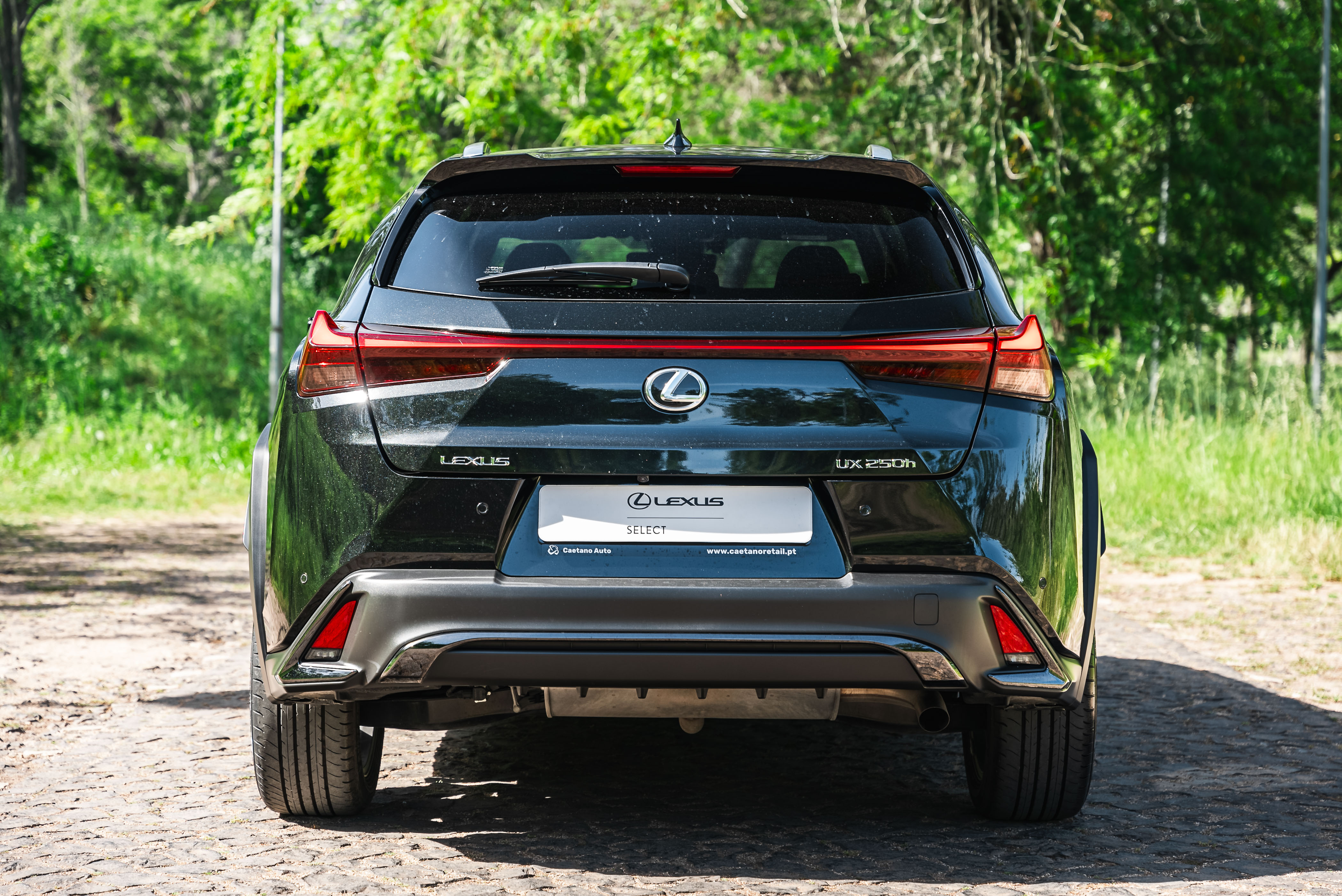 LEXUS UX 250H UX 250h F Sport