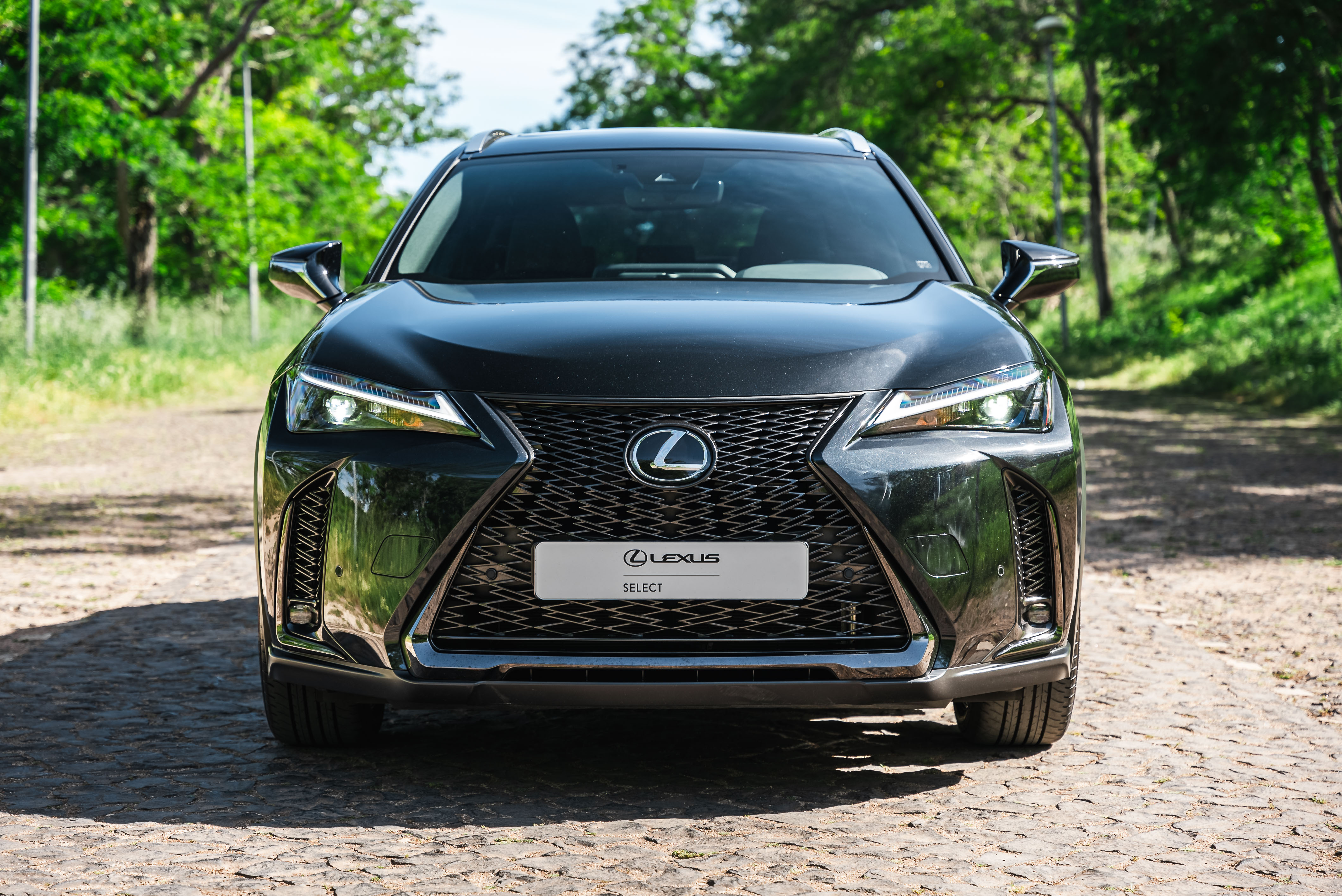 LEXUS UX 250H UX 250h F Sport