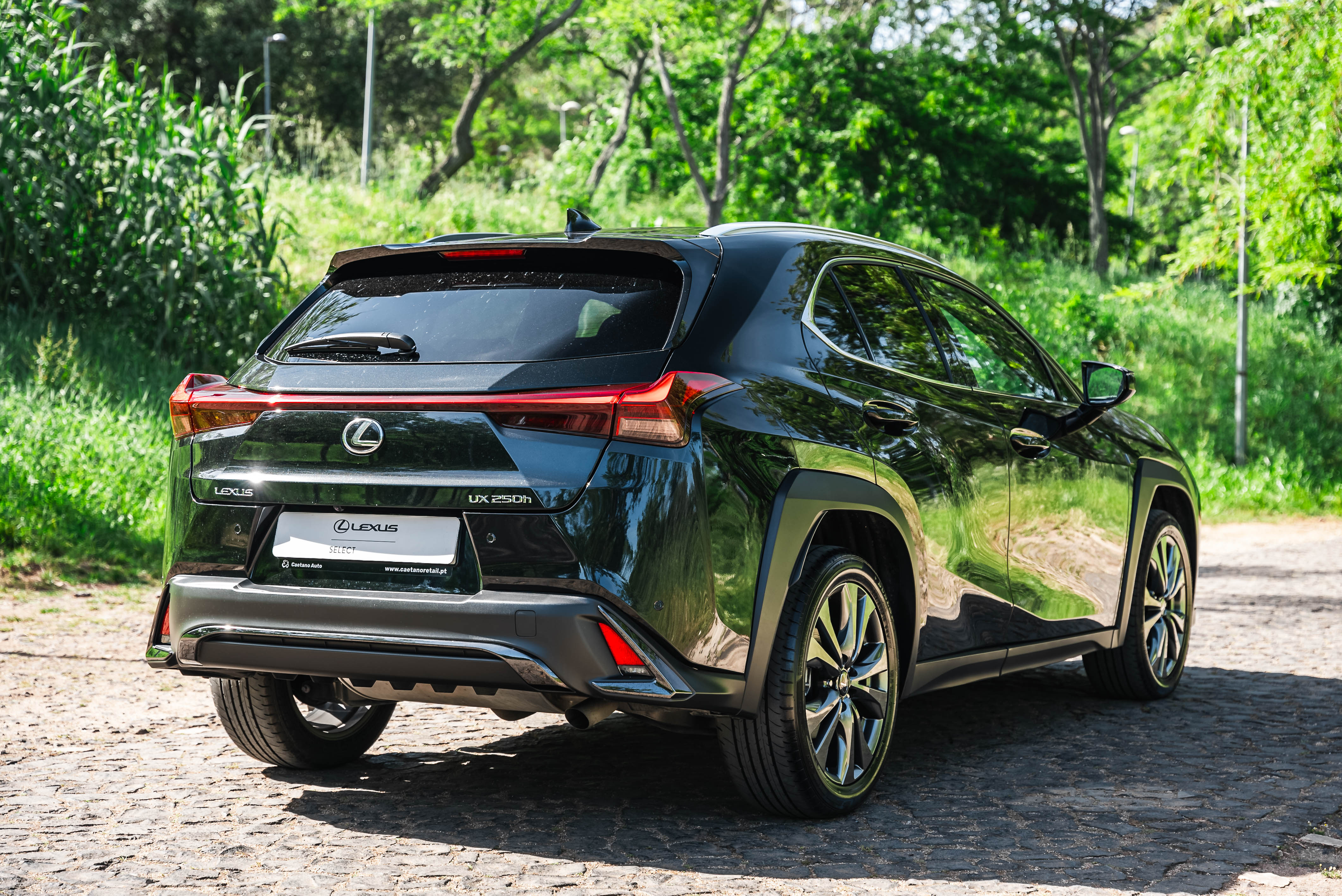 LEXUS UX 250H UX 250h F Sport