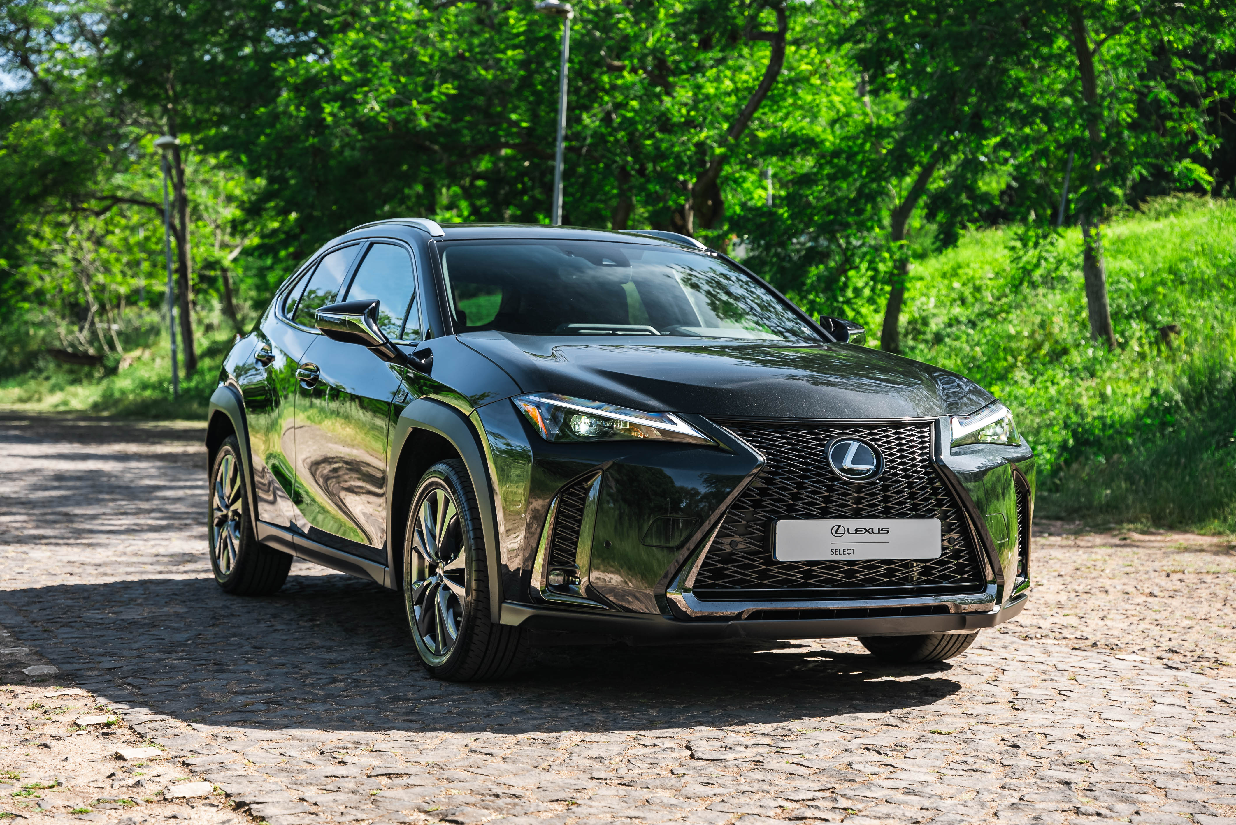 LEXUS UX 250H UX 250h F Sport
