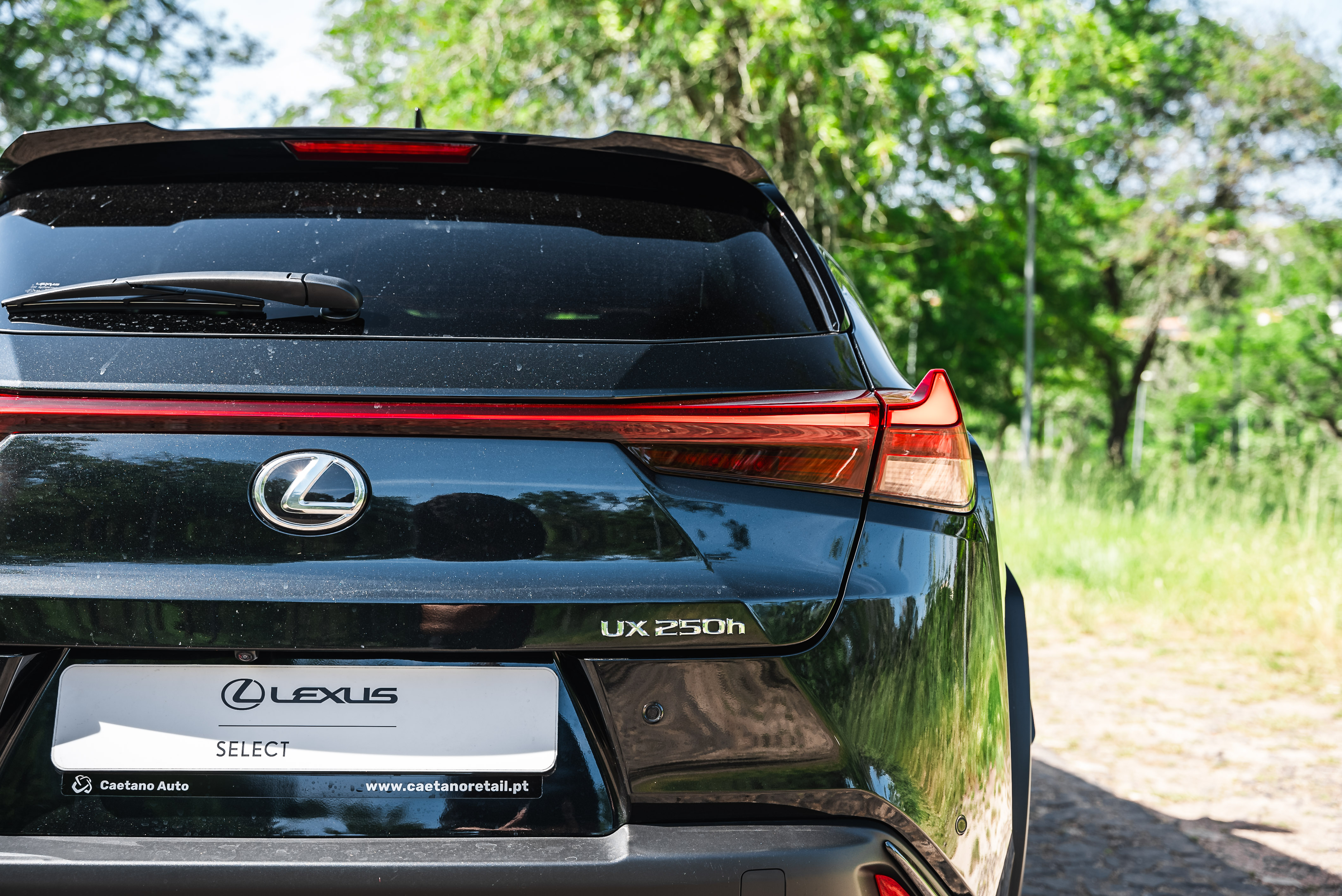LEXUS UX 250H UX 250h F Sport