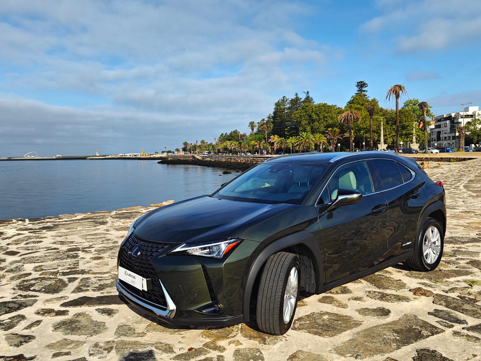 LEXUS UX 250H UX 250h Executive Plus