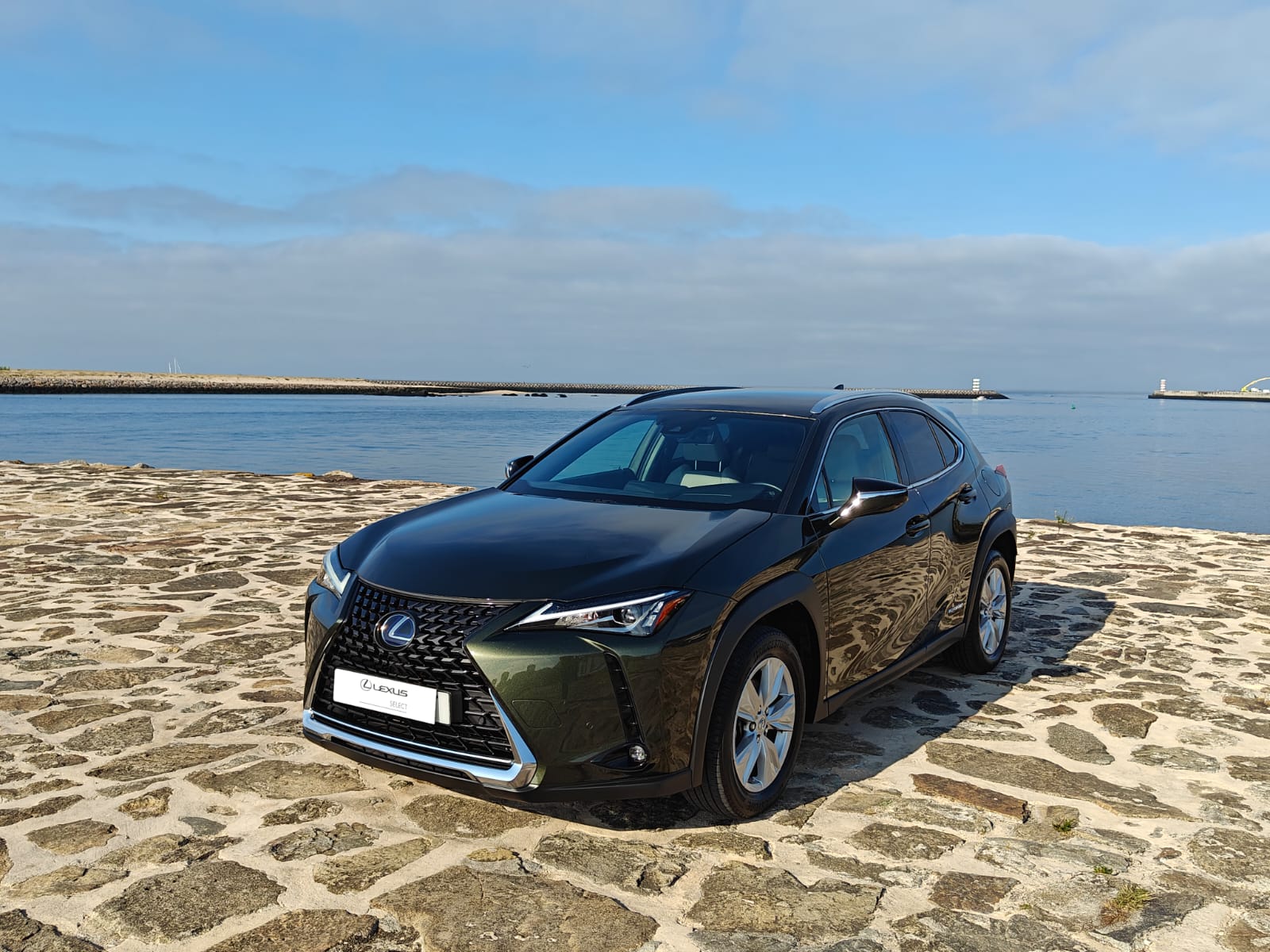 LEXUS UX 250H UX 250h Executive Plus