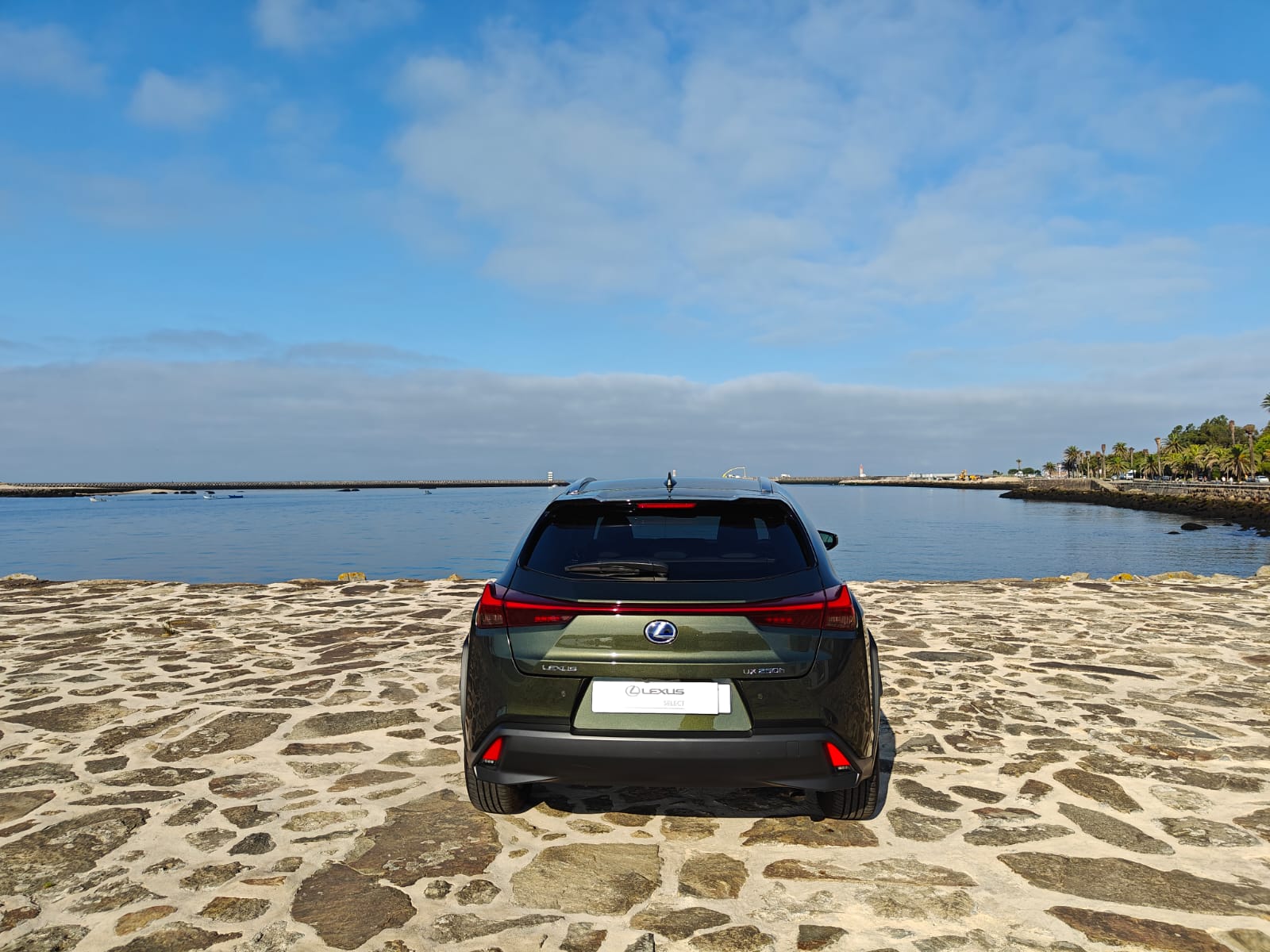 LEXUS UX 250H UX 250h Executive Plus