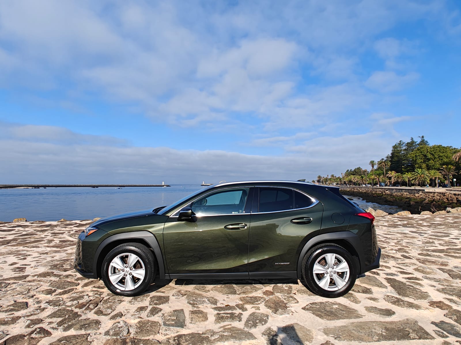 LEXUS UX 250H UX 250h Executive Plus