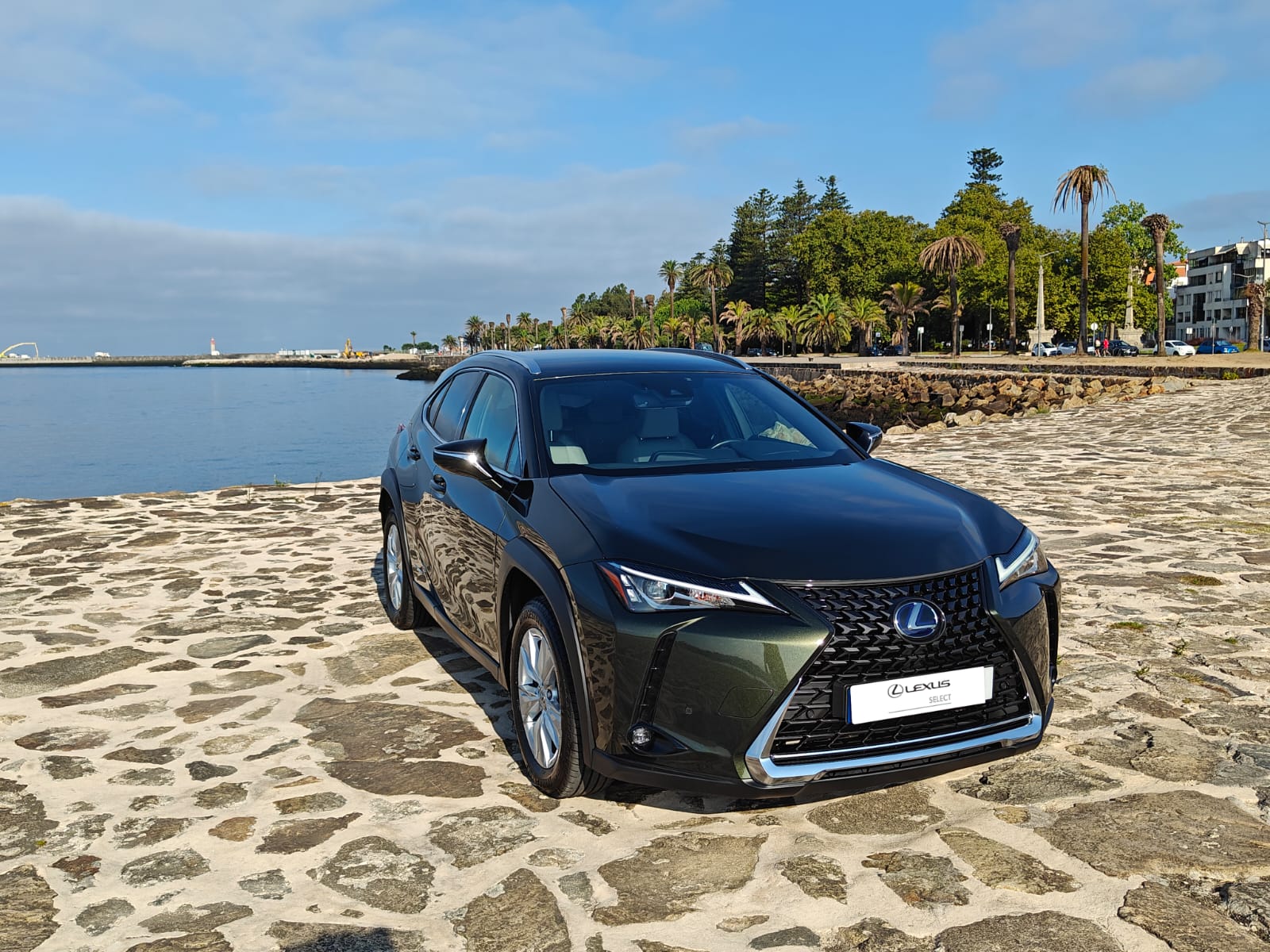 LEXUS UX 250H UX 250h Executive Plus