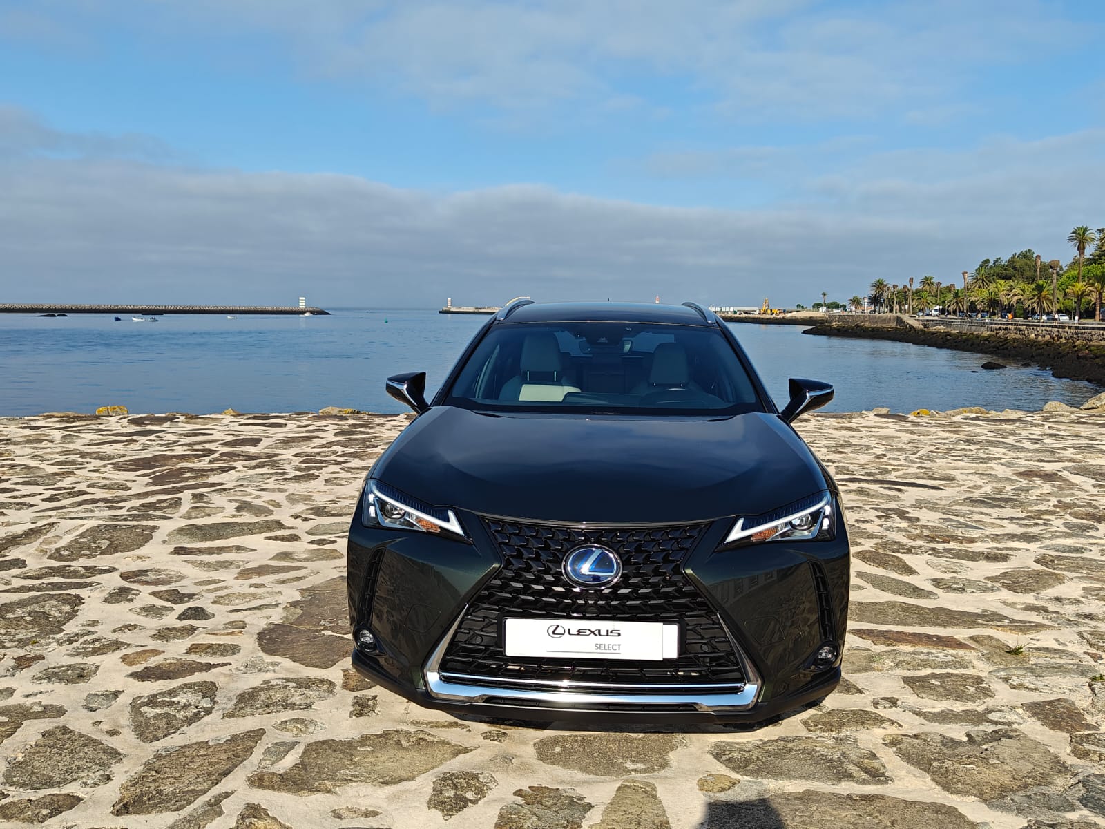 LEXUS UX 250H UX 250h Executive Plus