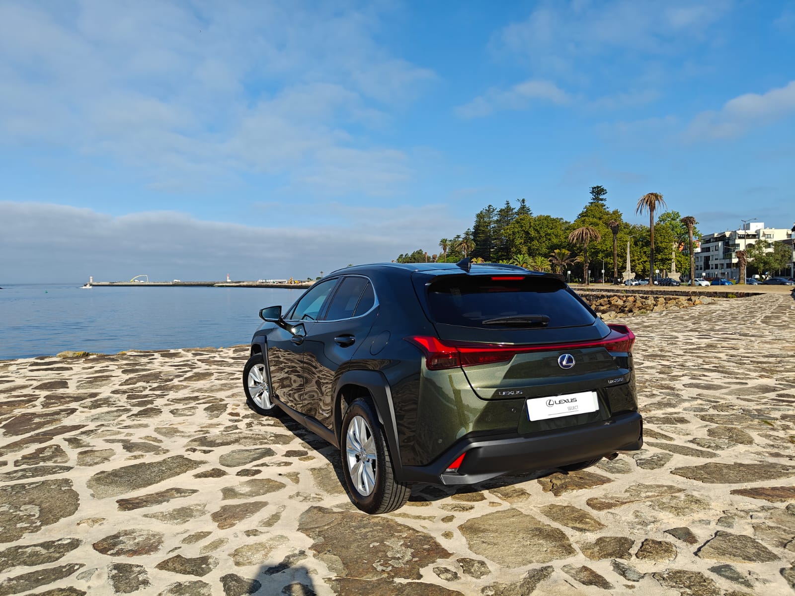 LEXUS UX 250H UX 250h Executive Plus