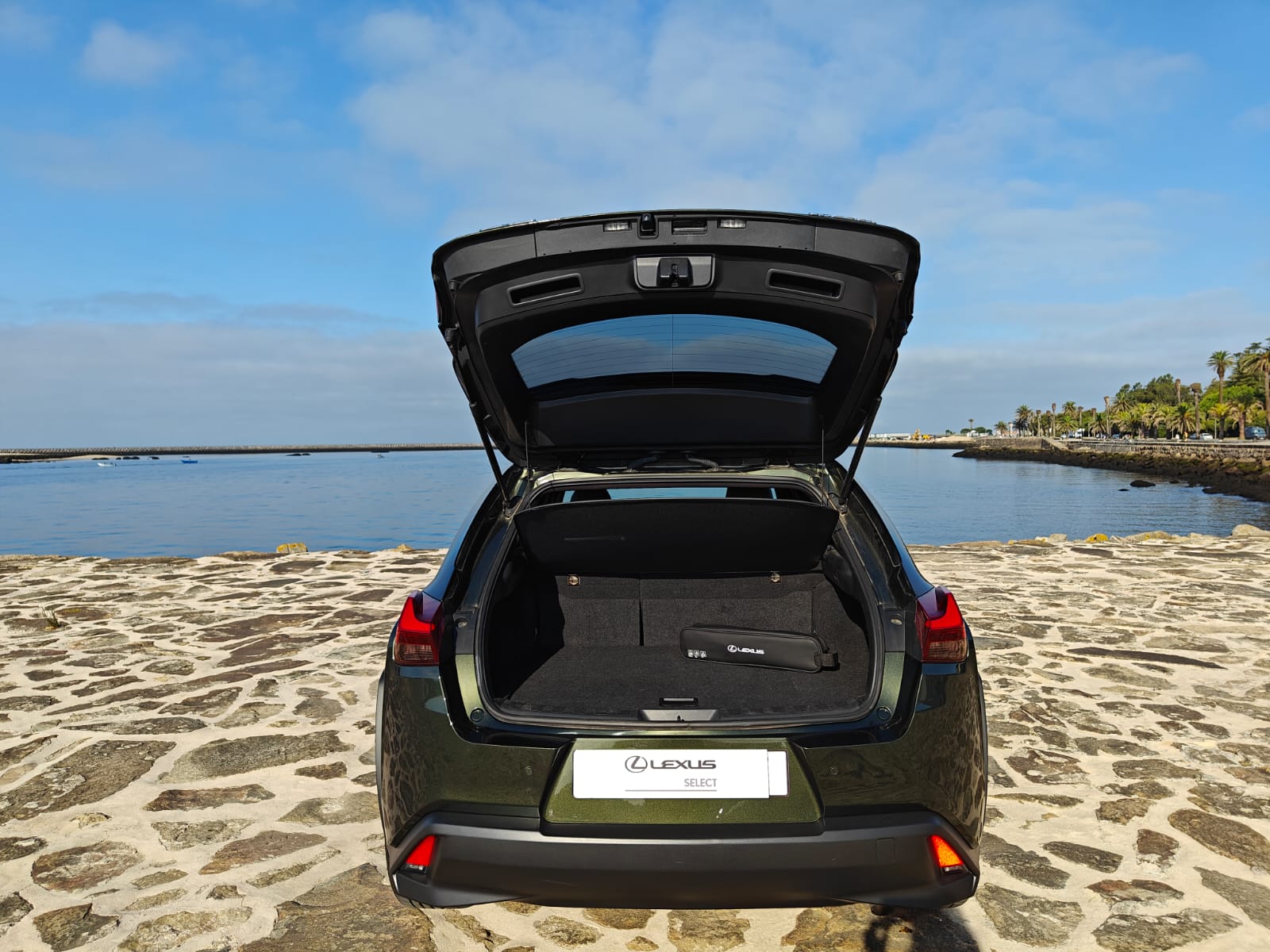 LEXUS UX 250H UX 250h Executive Plus