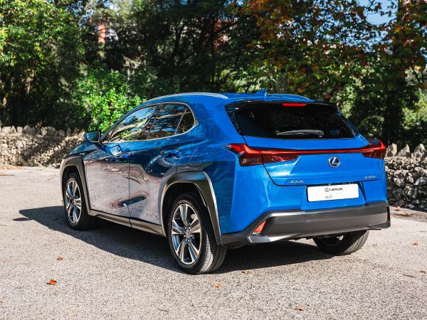 LEXUS UX 300E Luxury +