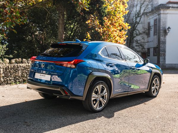 LEXUS UX 300E Luxury +