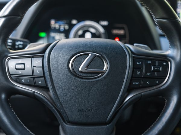 LEXUS UX 300E Luxury +