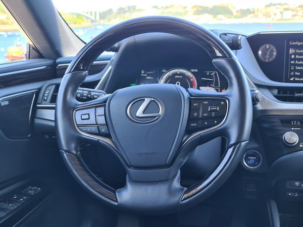 LEXUS ES 300H ES 300h Luxury