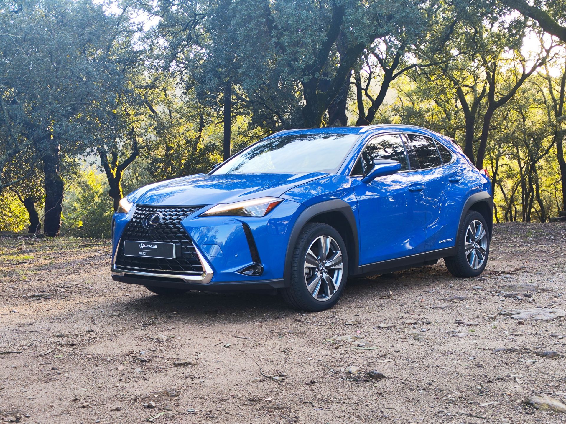 LEXUS UX 300E Luxury +