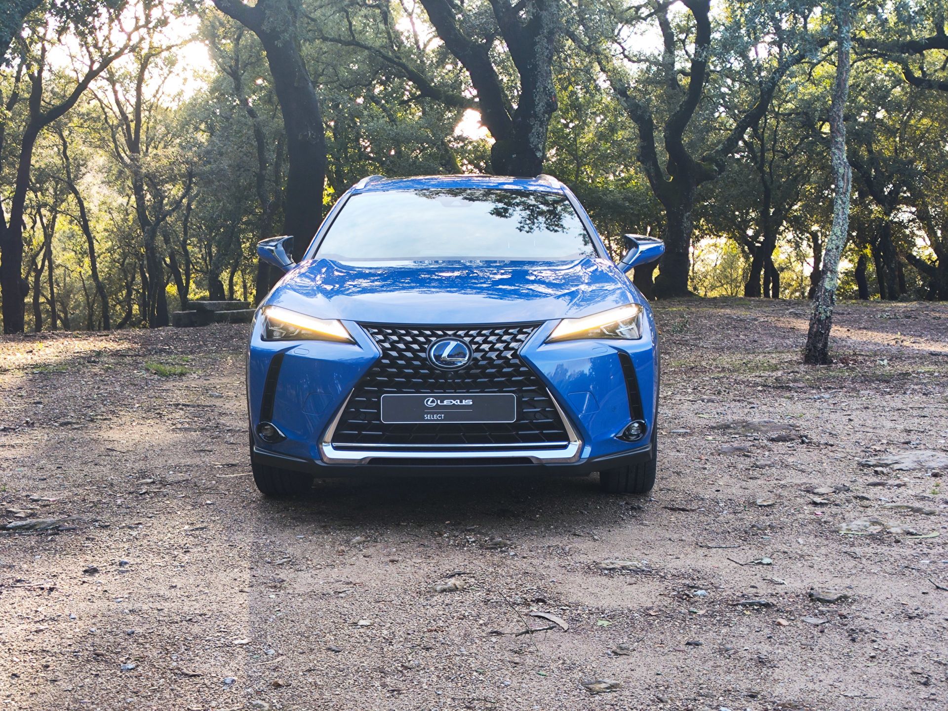 LEXUS UX 300E Luxury +